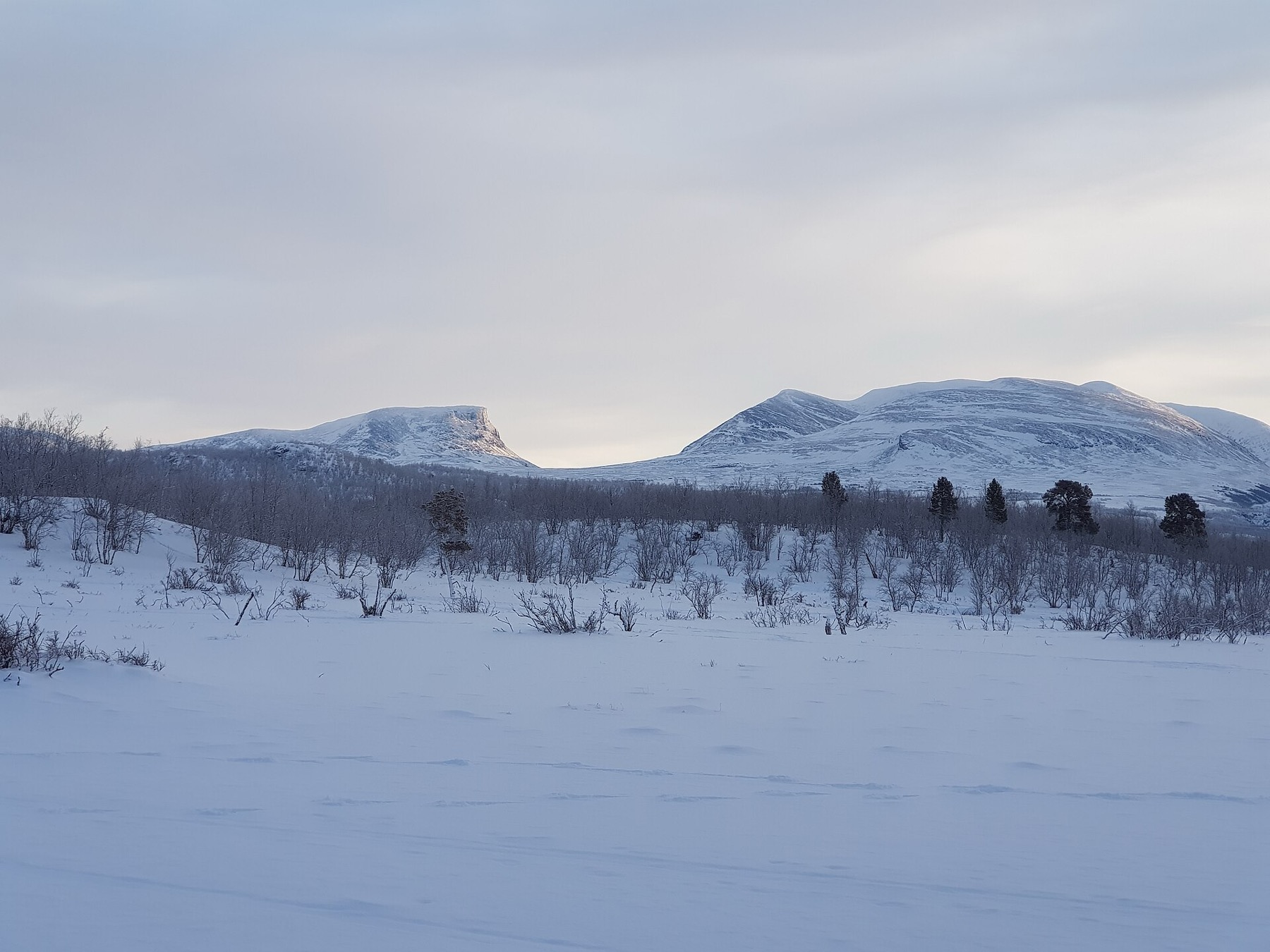 Kiruna, Švédsko: 18 tipů, co vidět a zažít ve městě, které se stěhuje 14 Národní park Abisko a hory Lapporten