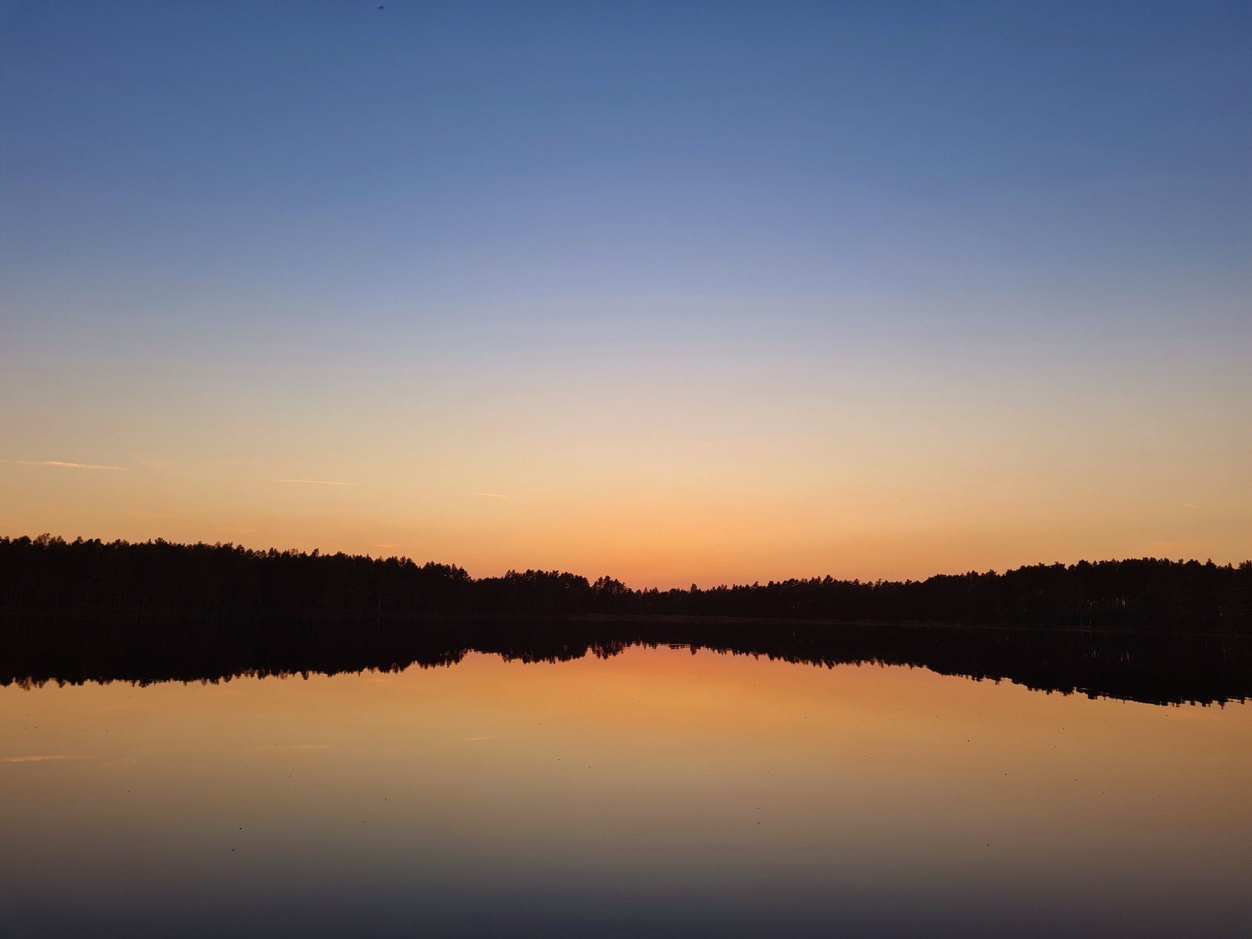 Stuga : 14 conseils pour louer un chalet suédois au bord d'un lac en 2026 16 Soir d'été au bord de l'eau, quand les moustiques sortent