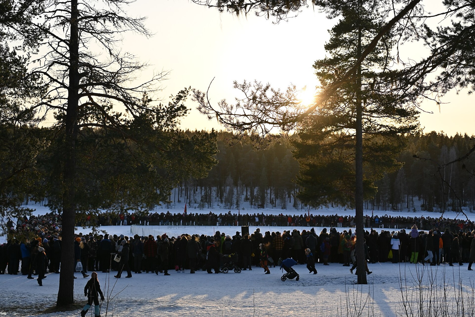 Zweeds Lapland: 20 tips voor een reis boven de poolcirkel in 2026 11 Samische traditie en rendieren in Noord-Zweden