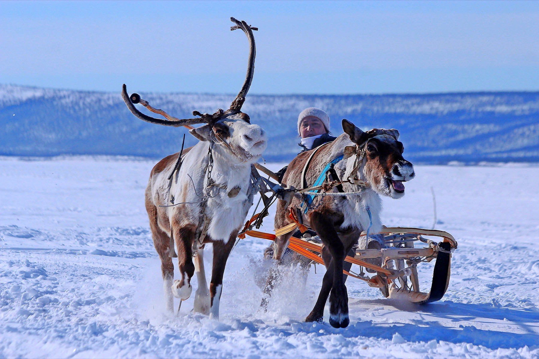 Zweeds Lapland: 20 tips voor een reis boven de poolcirkel in 2026 12 Wintermarkt in Jokkmokk