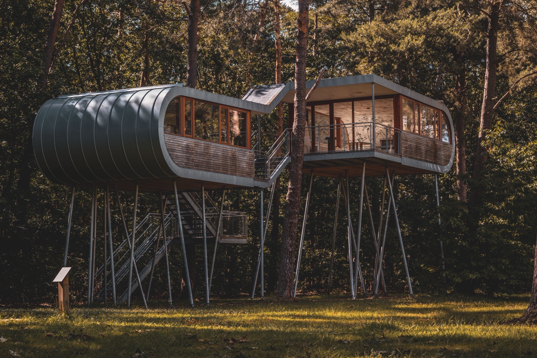 Zweeds Lapland: 20 tips voor een reis boven de poolcirkel in 2026 23 Boomhotel in het Noordse bos
