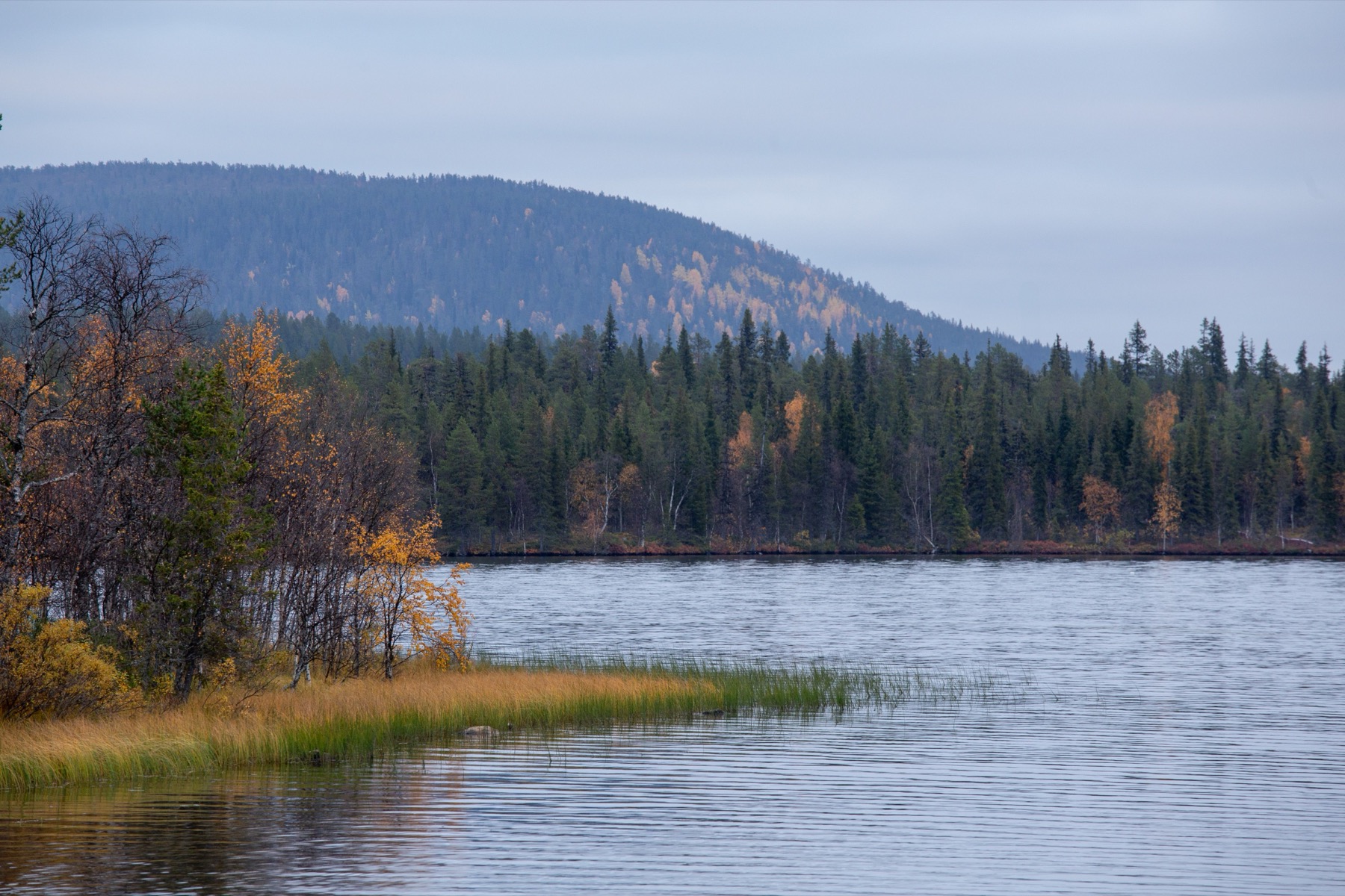 Zweeds Lapland: 20 tips voor een reis boven de poolcirkel in 2026 24 Middernachtzon boven een meer in Lapland
