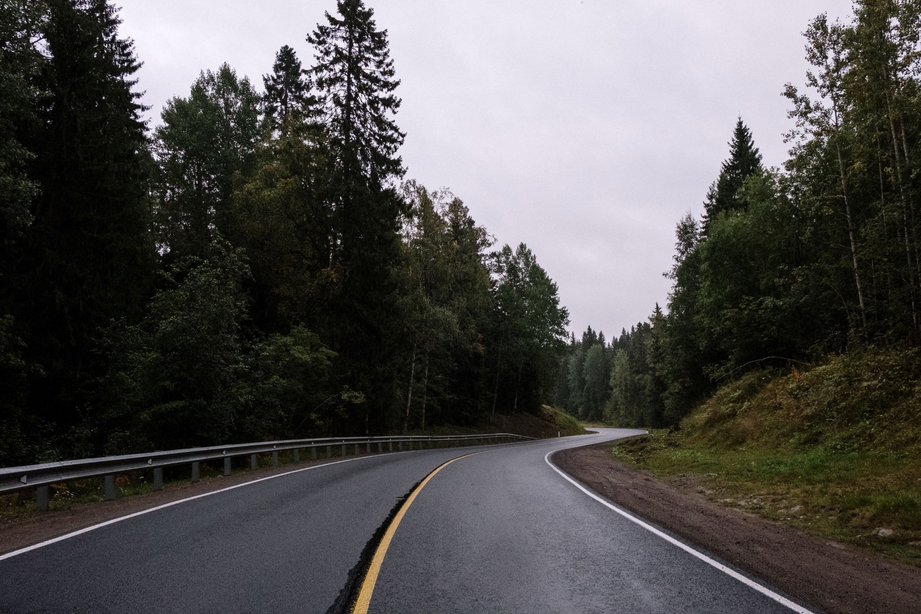 Maut in Schweden 2026: Regeln, Kosten & die besten Roadtrips 2 Leere Straße durch schwedische Wälder