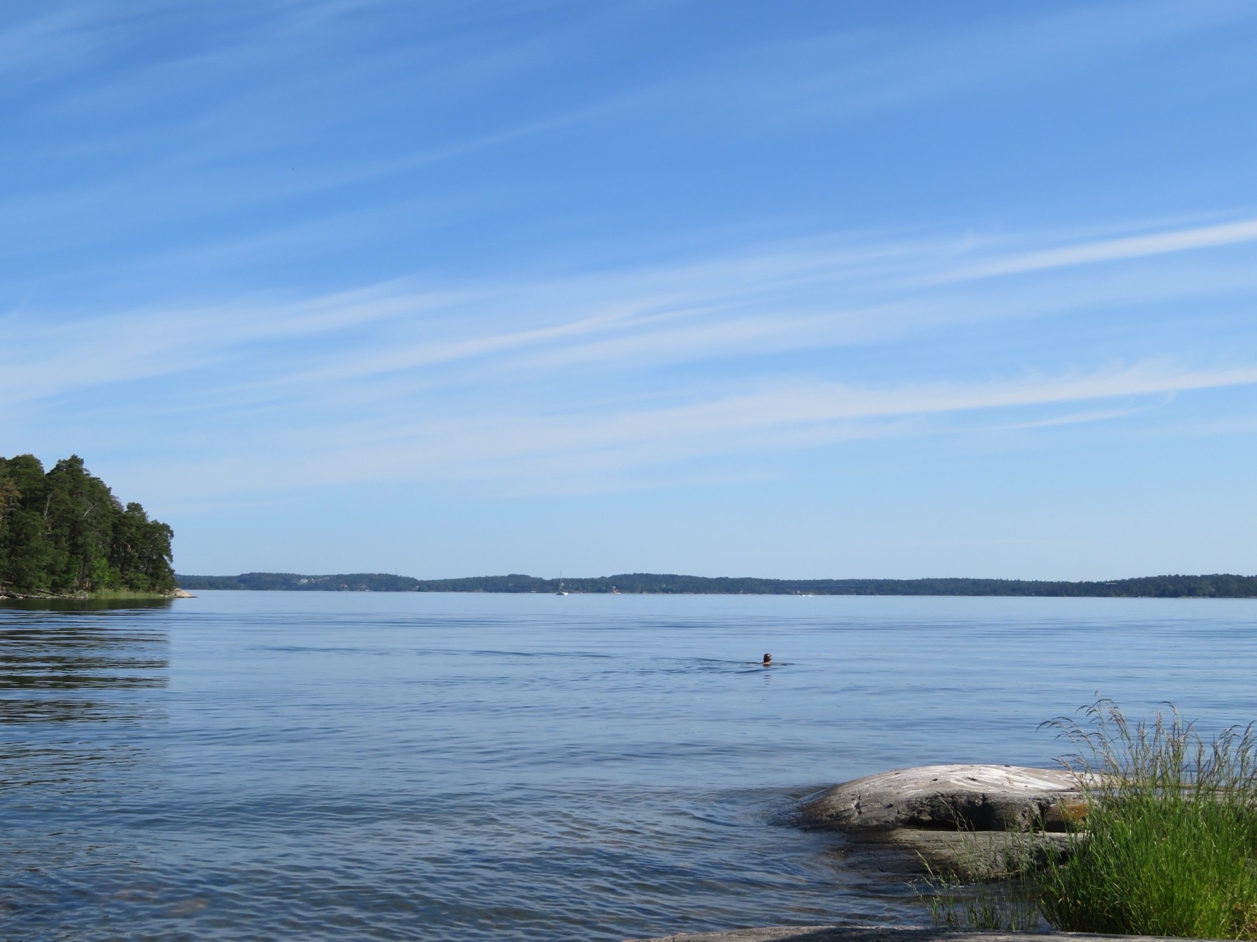 Svezia con bambini nel 2026: 16 idee su dove andare e cosa fare 2 Bagno estivo nel lago