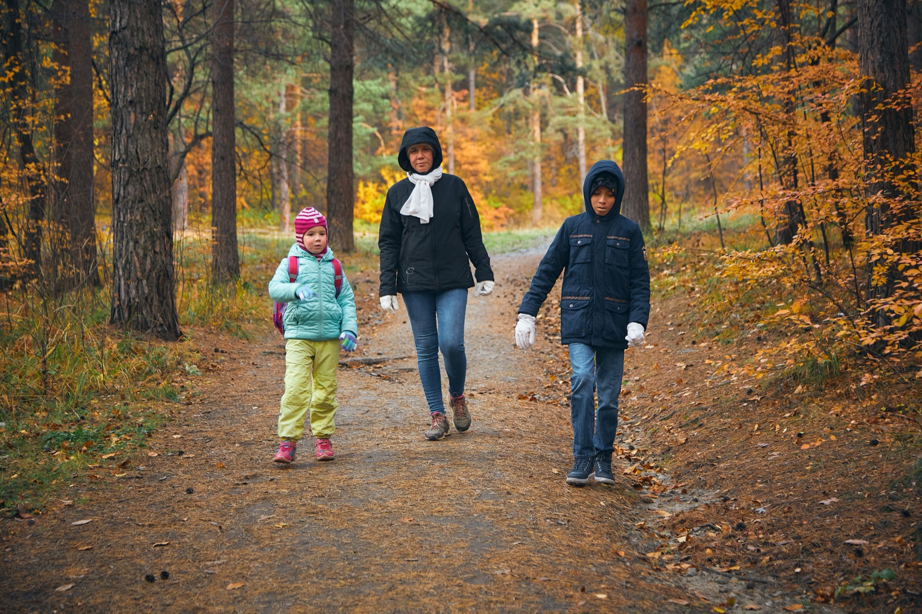 Svezia con bambini nel 2026: 16 idee su dove andare e cosa fare 22 Passeggiata di famiglia nella natura