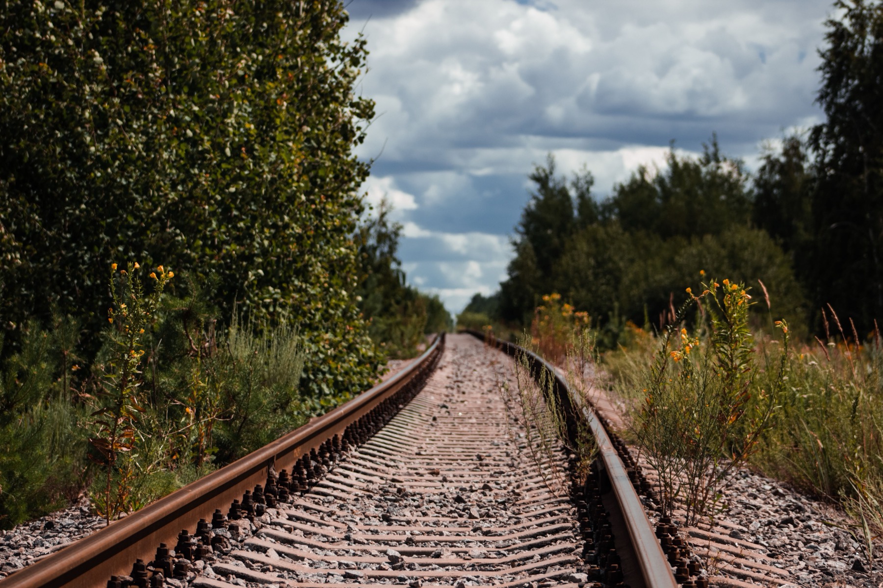 Sweden by Train 2026: Night Routes, Prices & Scenic Lines 21 The Inlandsbanan inland line