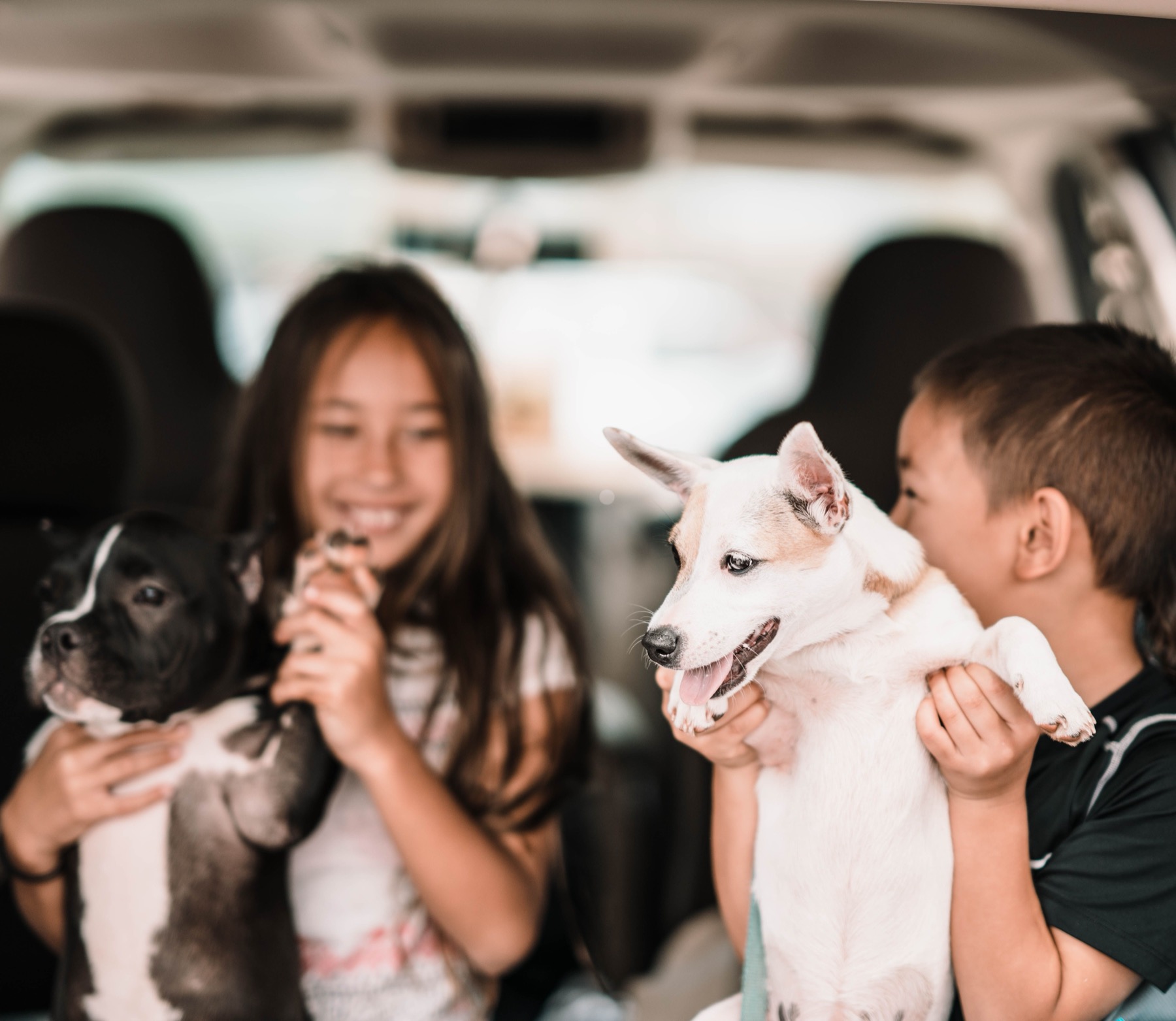 Mit der Fähre nach Schweden 2026: Linien, Preise und wie du die richtige wählst 14 Familie mit Hund auf der Autoreise