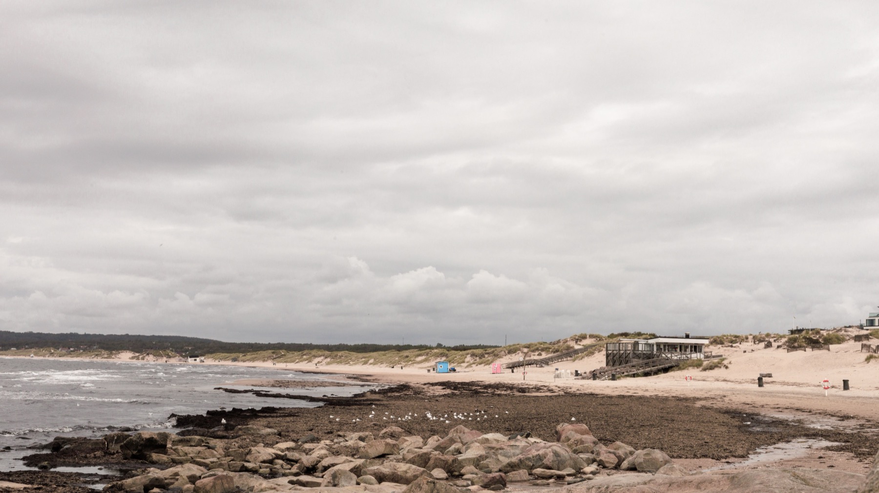 Ystad w Szwecji i Skania: 18 pomysłów na południe Szwecji w 2026 18 Piaszczysta plaża Sandhammaren