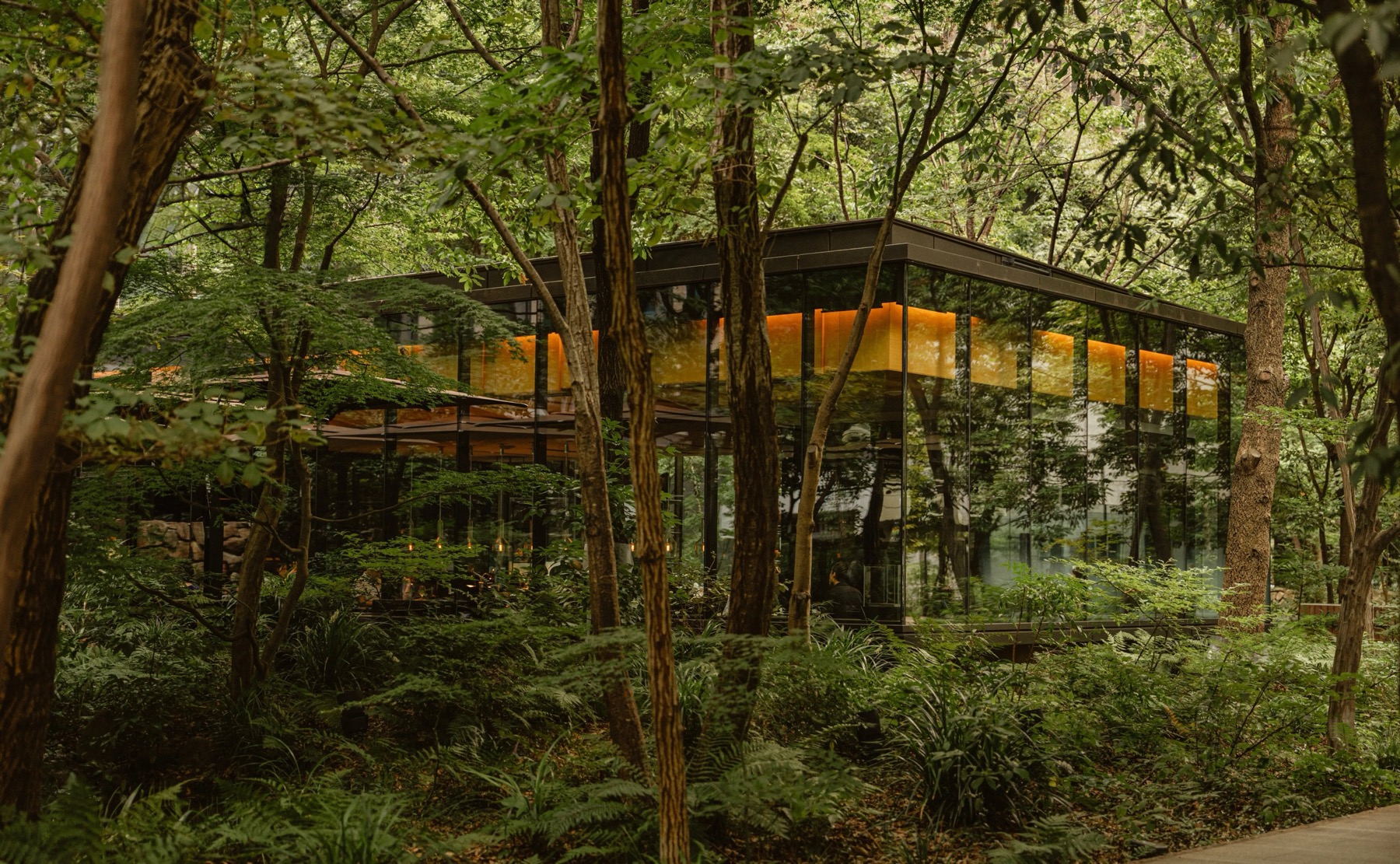 The World's Most Luxurious Hotels: 29 Addresses That Will Surprise You in 2026 35 Spa at Aman Tokyo