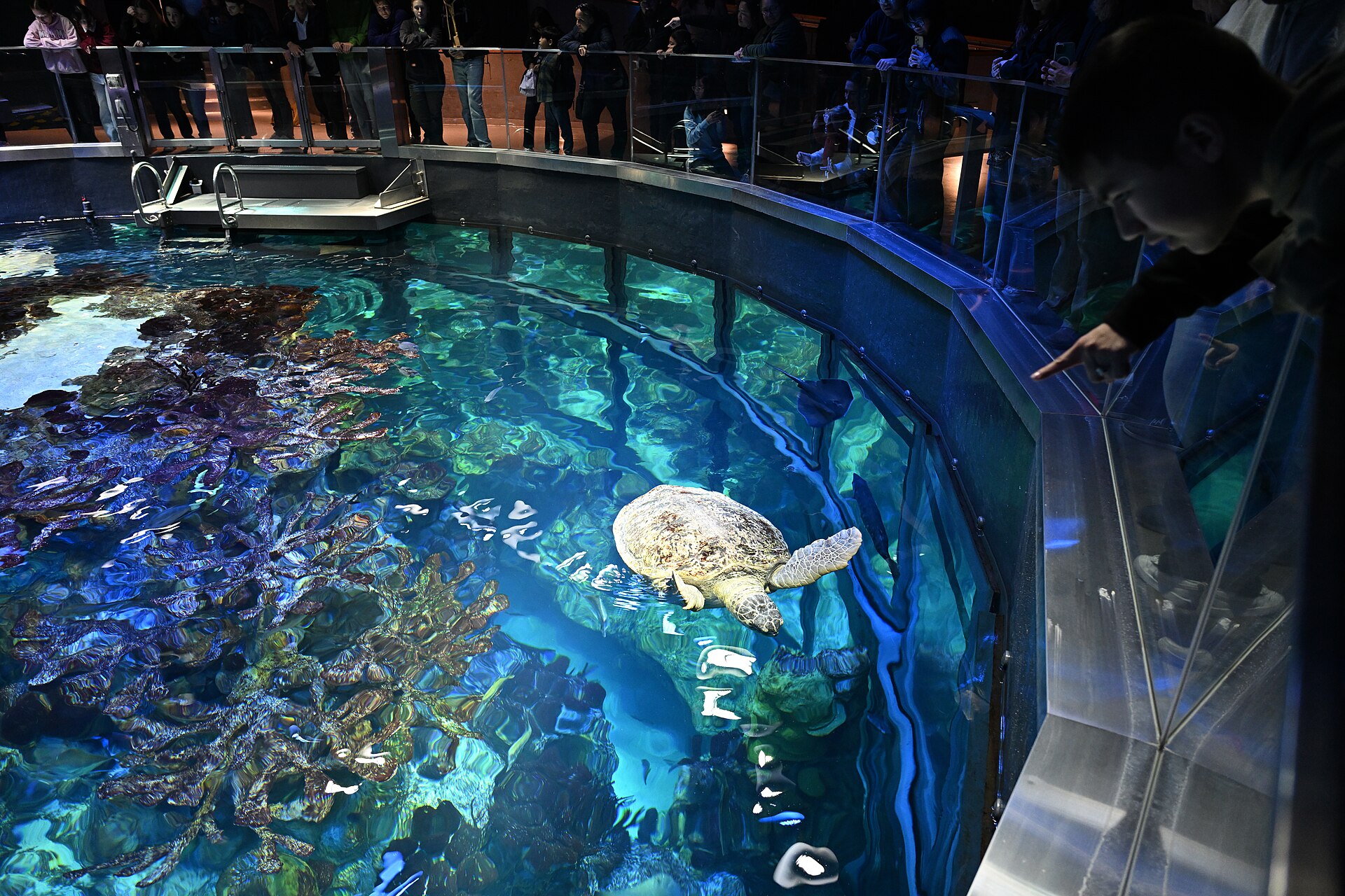 Boston, USA: 22 Things to See and Do + Freedom Trail 22 Giant cylindrical tank at the New England Aquarium