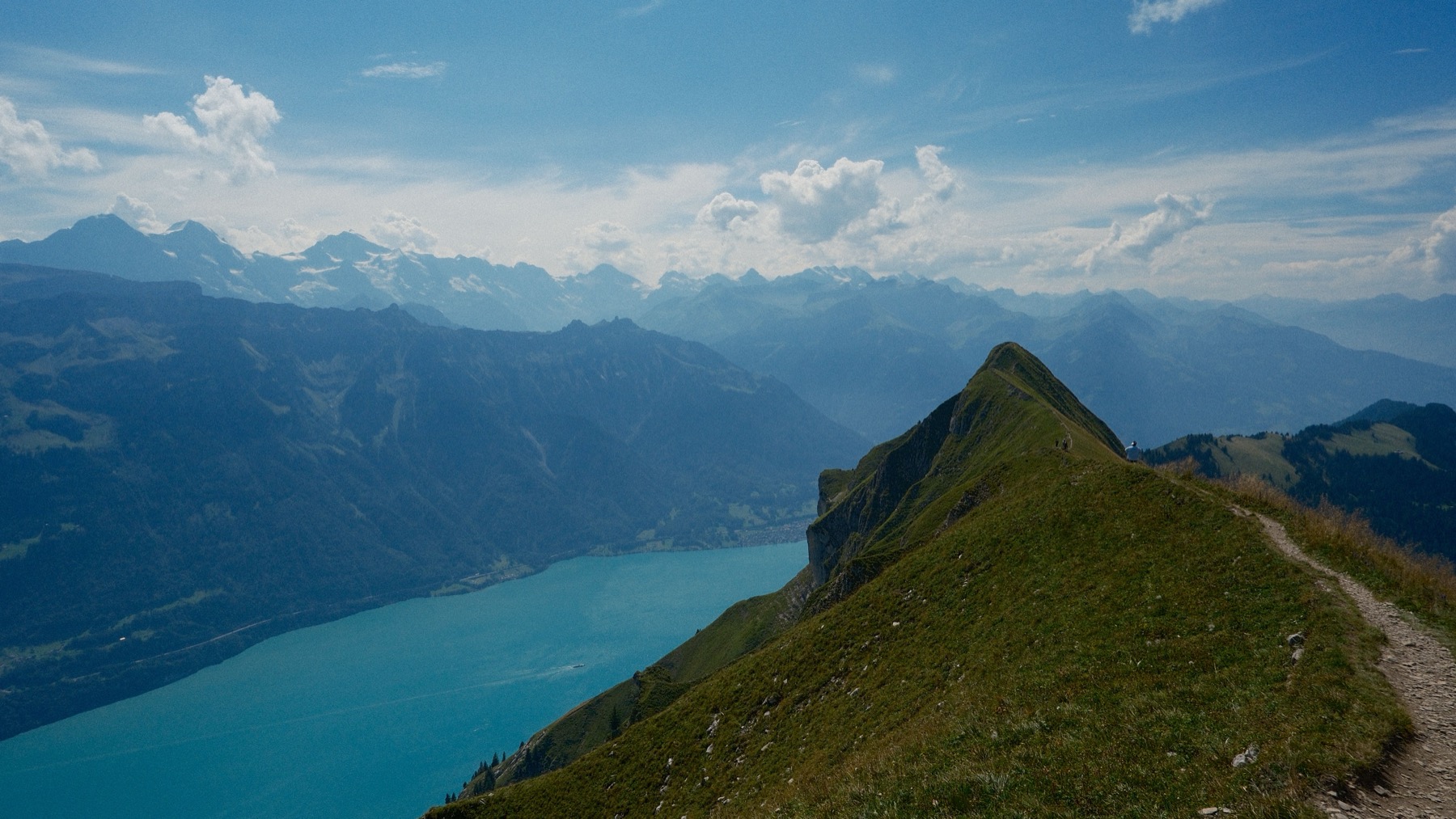 Bönigen, Switzerland: 24 Things to Do at Lake Brienz 2026 14 Panoramic view from a summit above the lake
