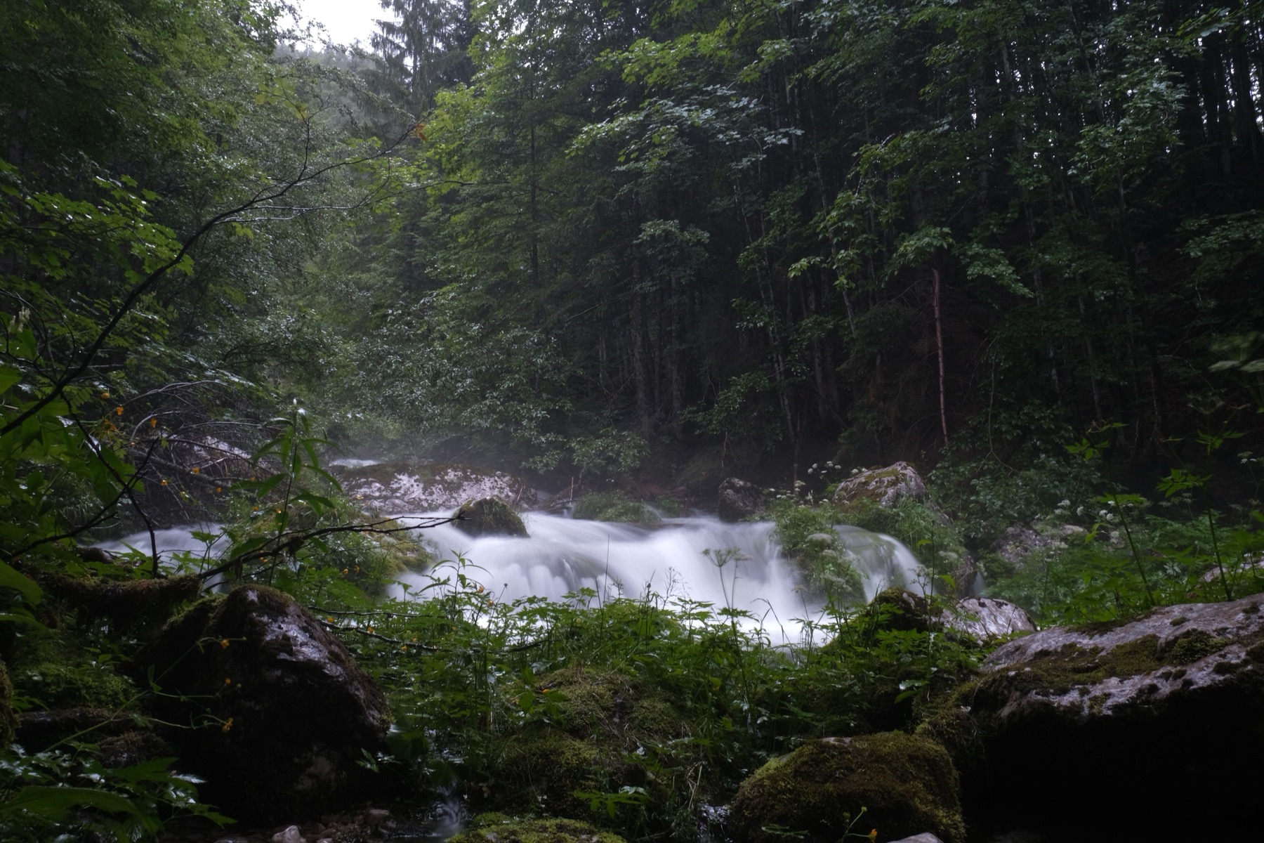 Bönigen, Switzerland: 24 Things to Do at Lake Brienz 2026 15 Waterfall hidden in the forest above Bönigen
