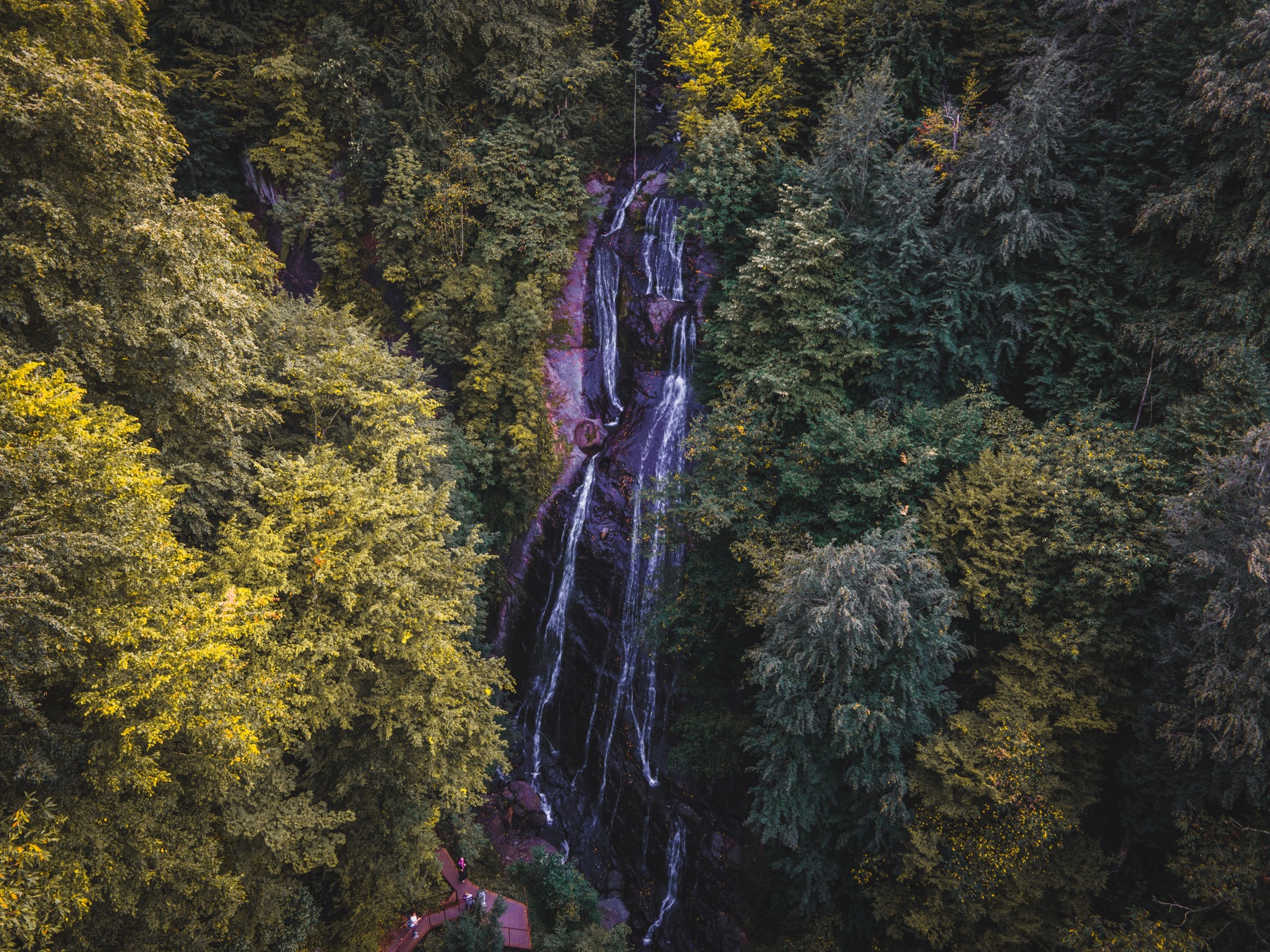 Bönigen, Switzerland: 24 Things to Do at Lake Brienz 2026 28 Cascades of the Giessbach Falls
