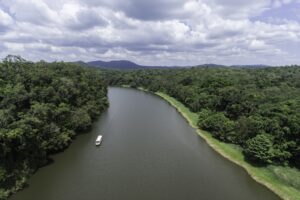 Domovská stránka 8 Cairns a Daintree: 18 tipů, co vidět v bráně do tropů