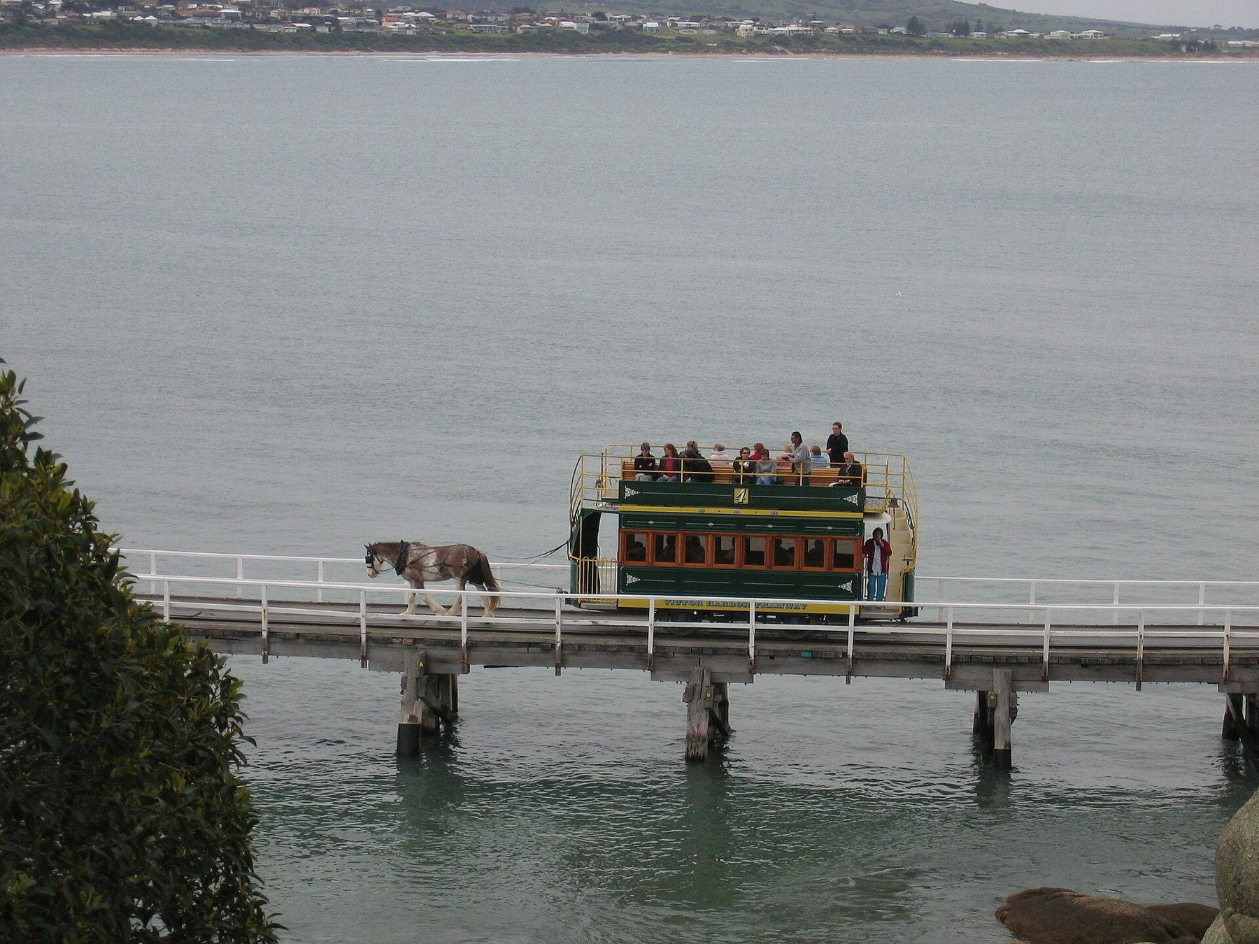 Koňská tramvaj na Granite Island ve Victor Harbor