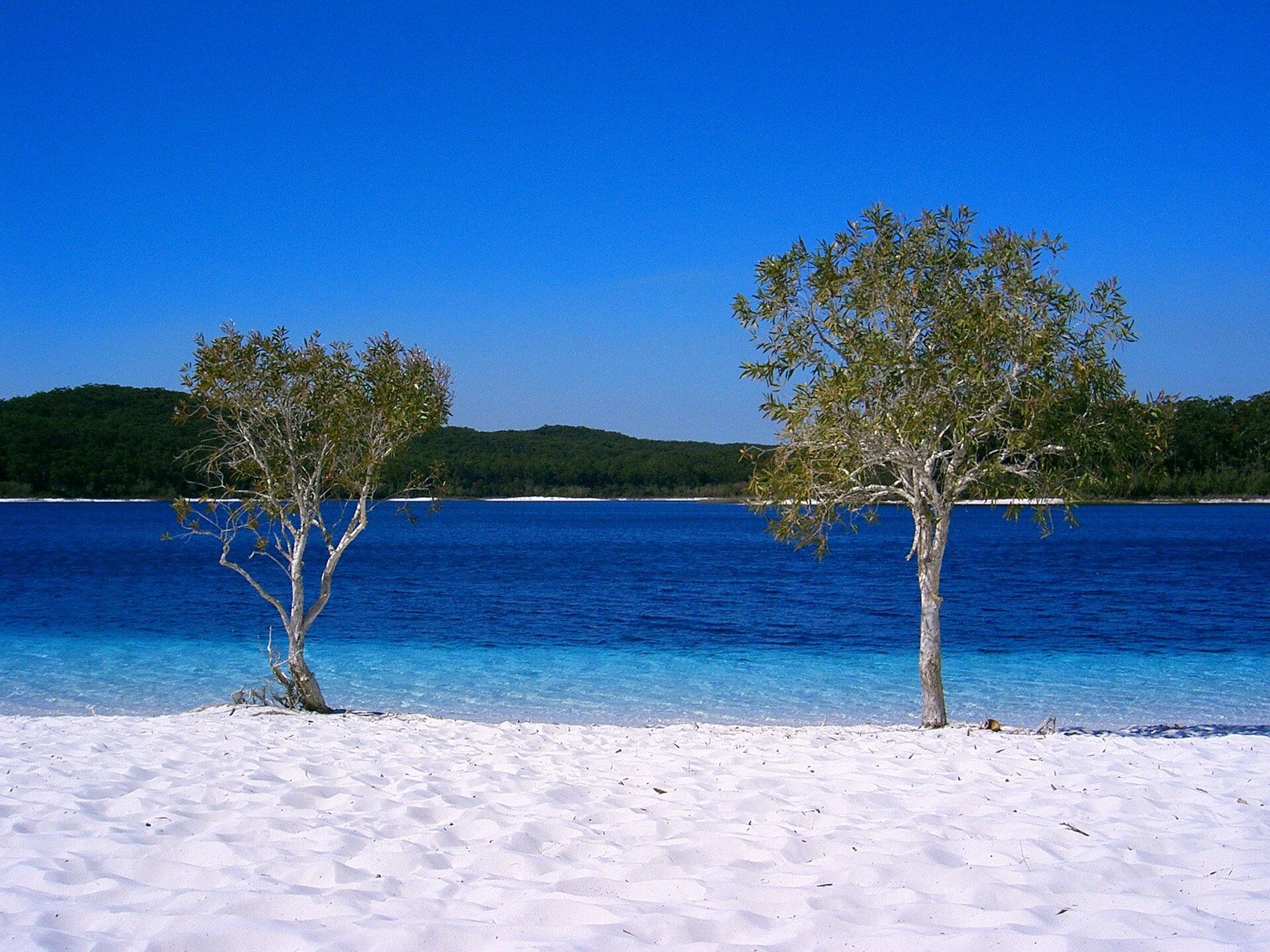 Austrália 2026: 30 lugares mais lindos + dicas práticas 9 Lago McKenzie na ilha de areia K'gari