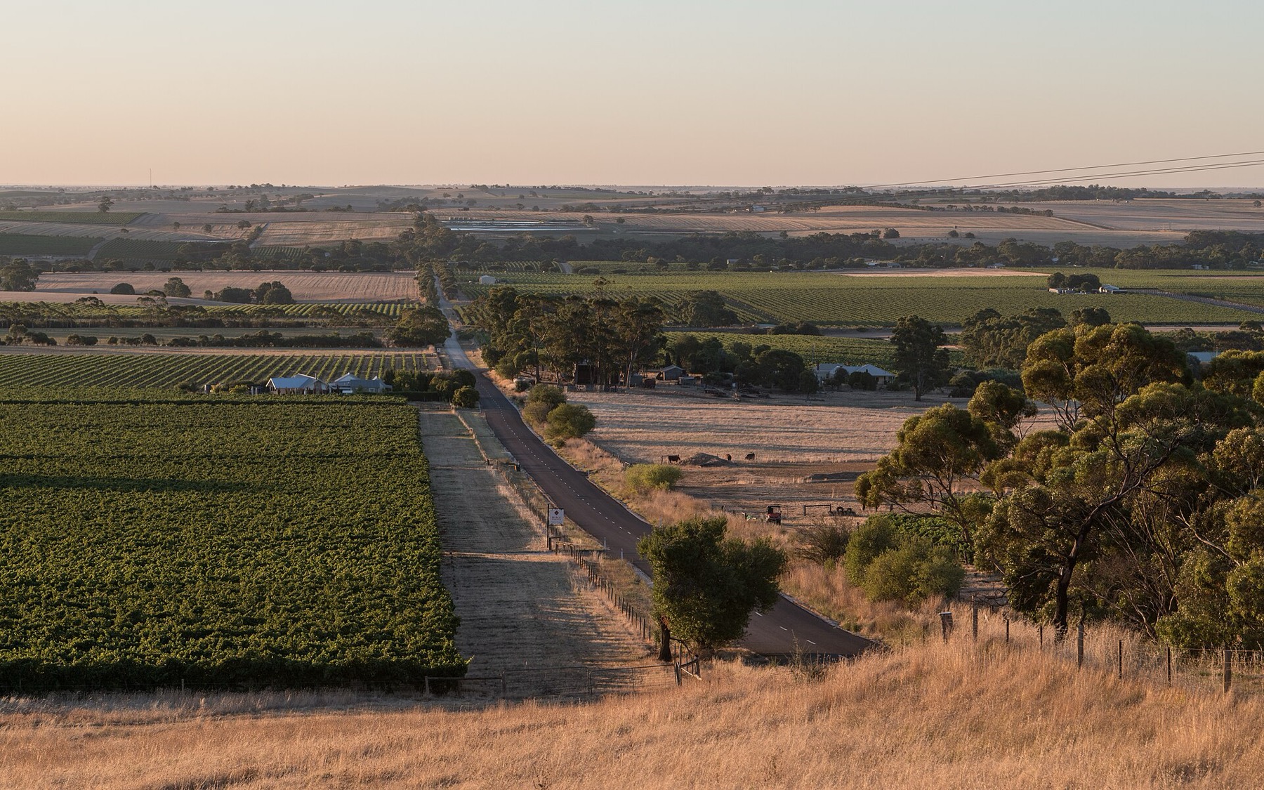 Austrália 2026: 30 lugares mais lindos + dicas práticas 19 Vinhedos no vale Barossa Valley