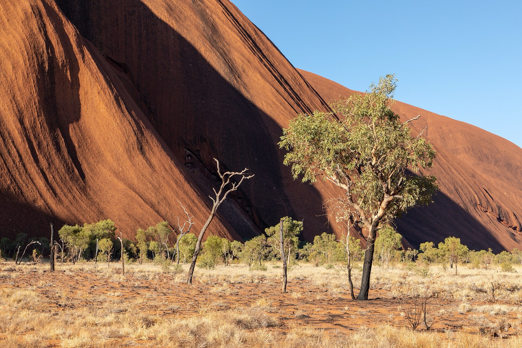 Austrália 2026: 30 lugares mais lindos + dicas práticas 22 Monolito sagrado Uluru ao pôr do sol
