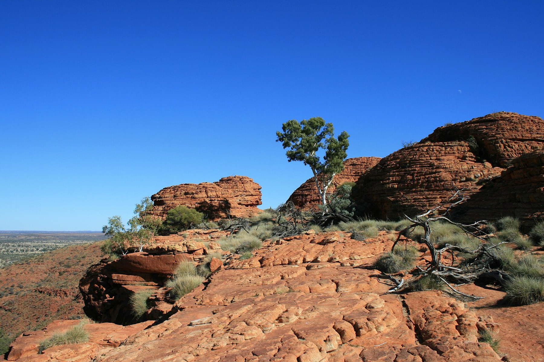 Austrália 2026: 30 lugares mais lindos + dicas práticas 23 Paredes do Kings Canyon no Parque Nacional Watarrka
