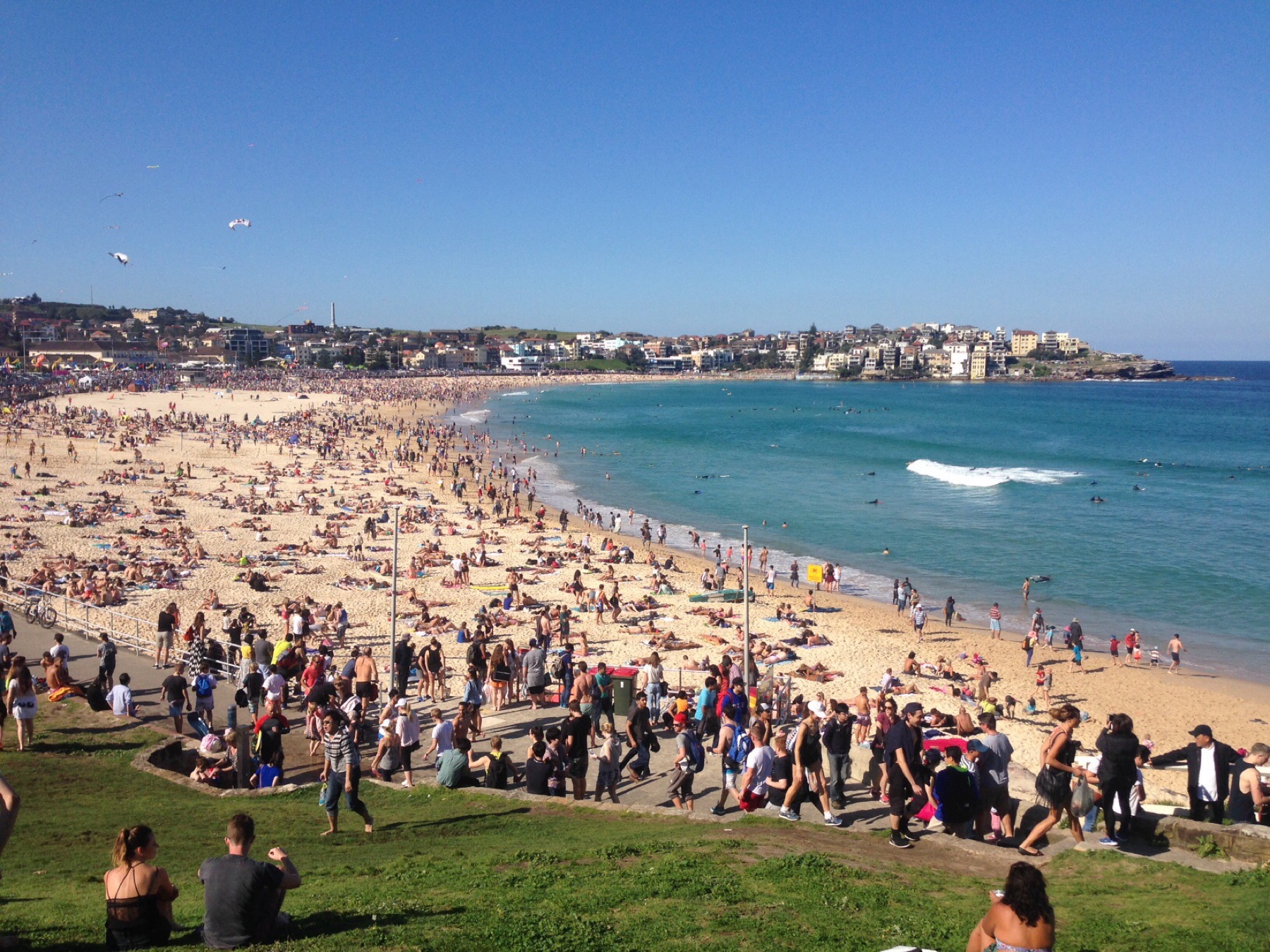 Australien mit Kindern 2026: Reiseroute, Attraktionen und was euch erwartet 1 Australischer Strand im Sommer