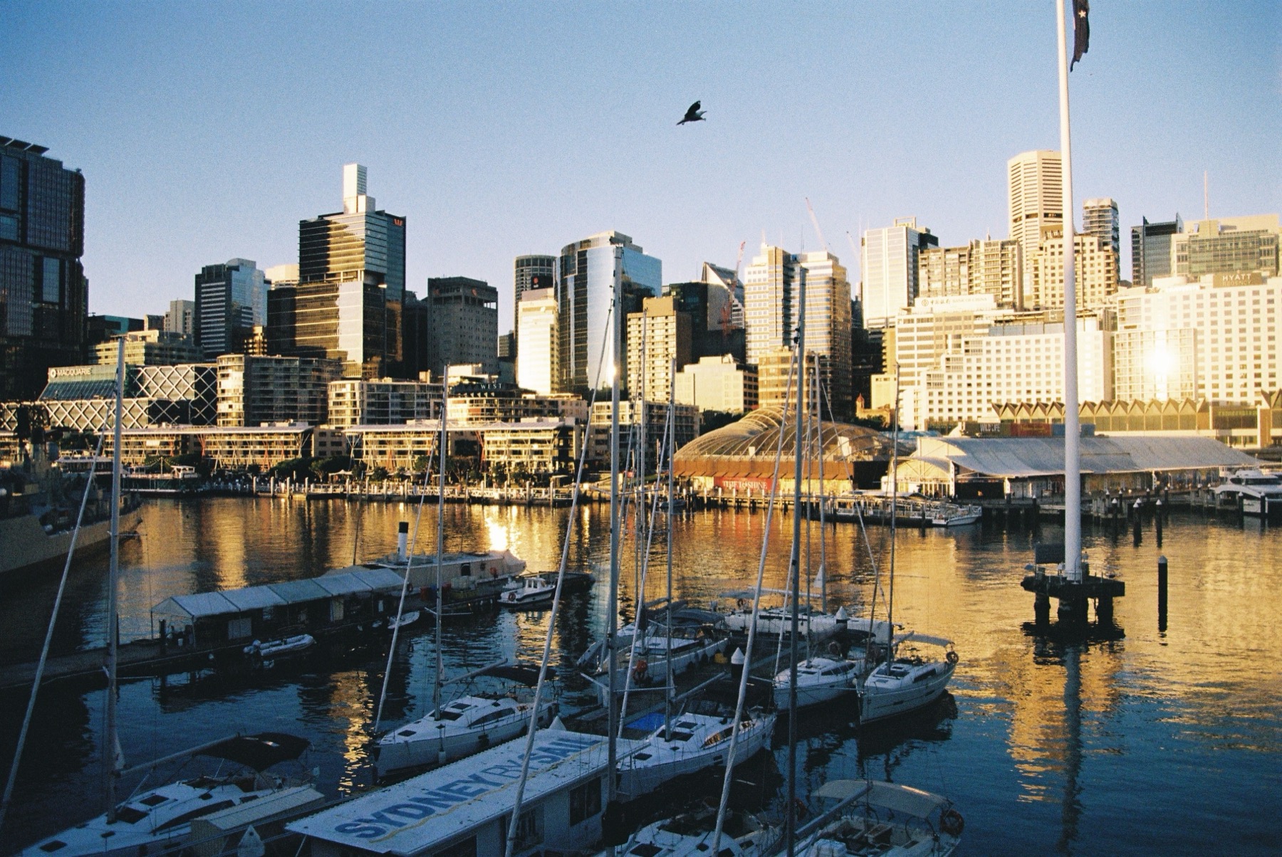 Australien mit Kindern 2026: Reiseroute, Attraktionen und was euch erwartet 7 Darling Harbour in Sydney