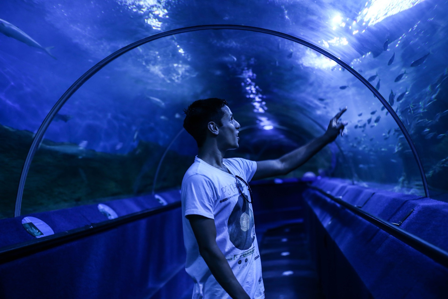 Australien mit Kindern 2026: Reiseroute, Attraktionen und was euch erwartet 8 Tunnel im Aquarium