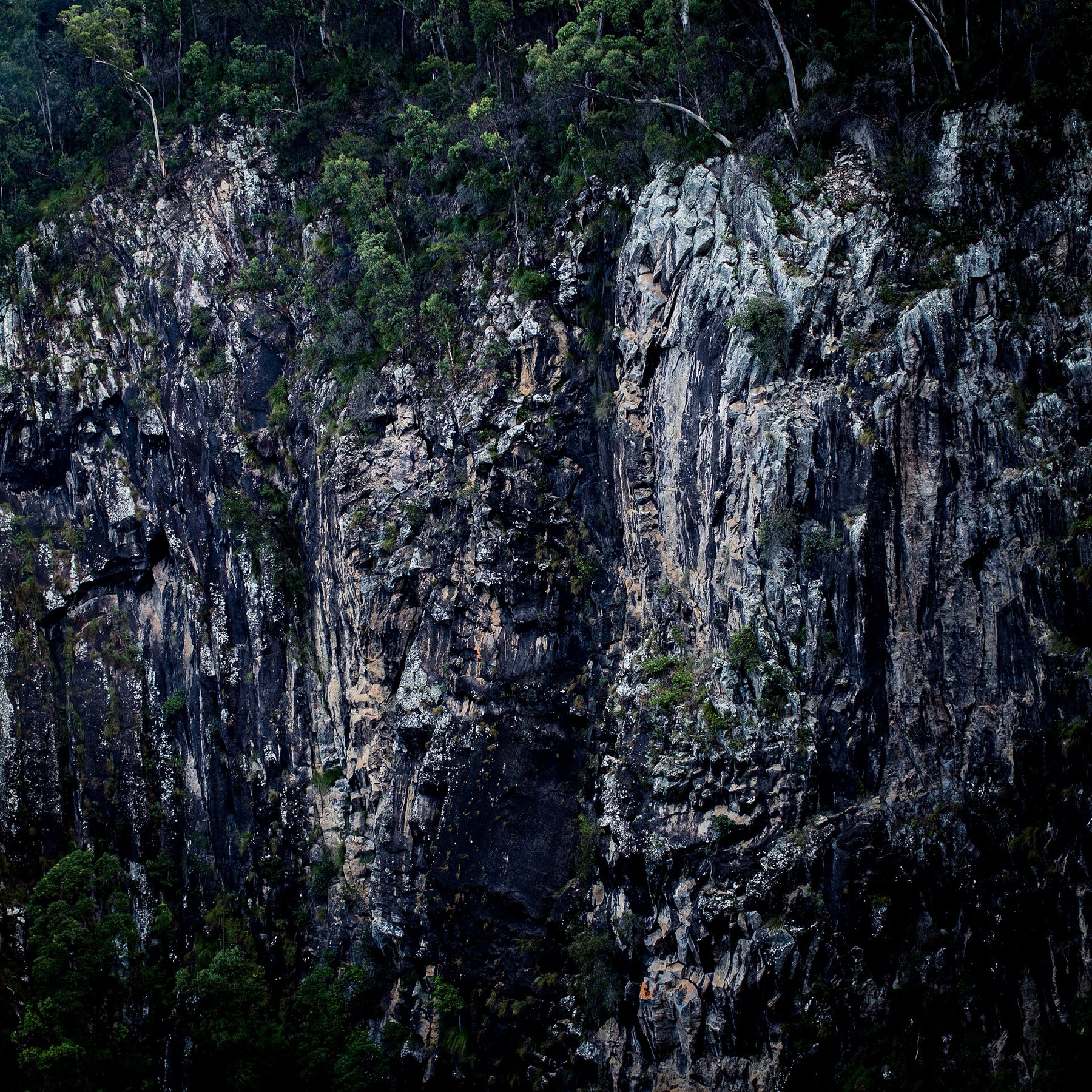 Byron Bay: 12 tipů, co dělat + maják a nejlepší pláže 13 Skalní stěna v Nightcap National Park