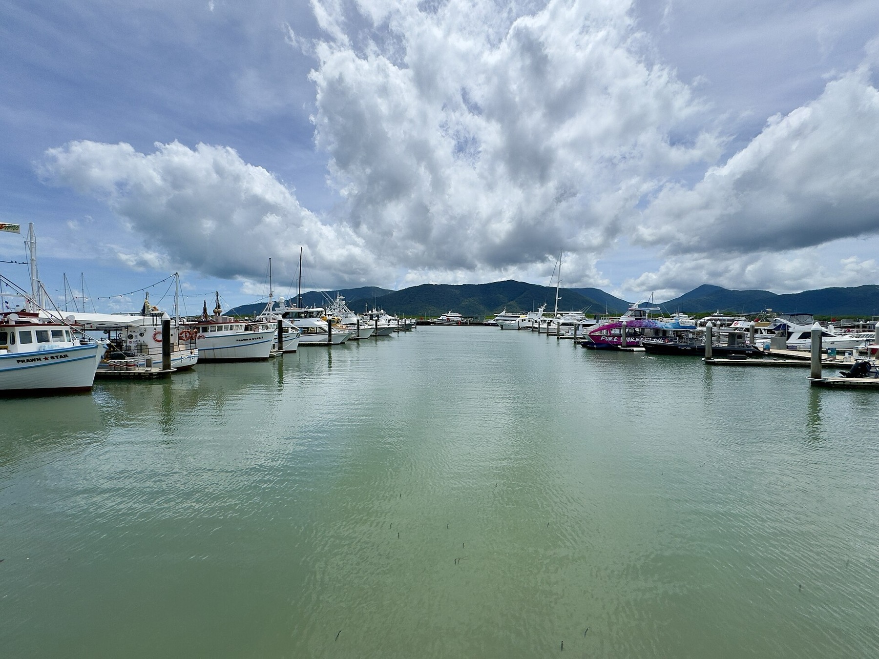 Cairns a Daintree: 18 tipů, co vidět v bráně do tropů 1 Marina v Cairns pod tropickými horami