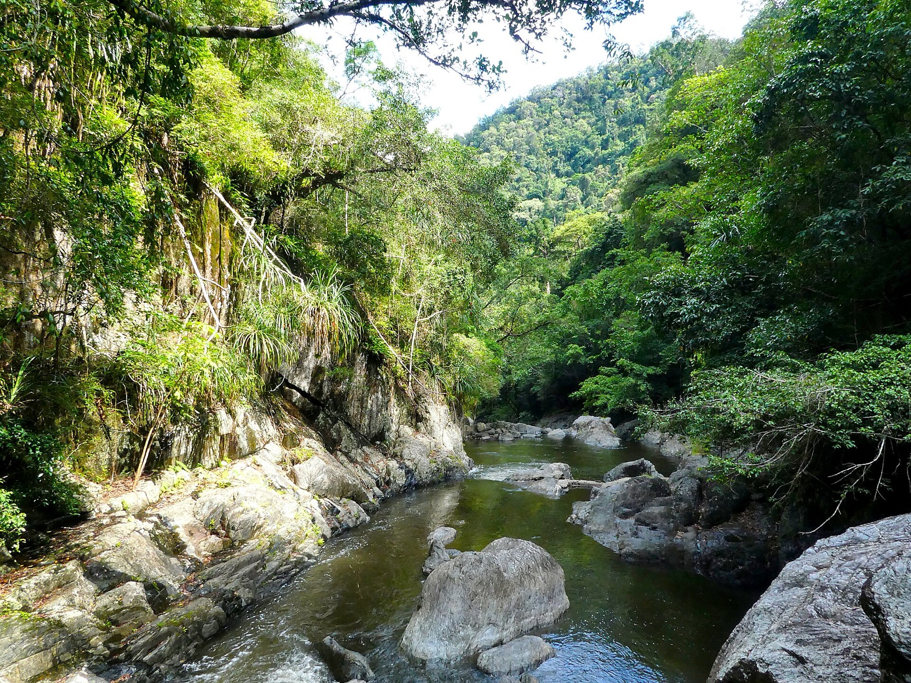 Cairns a Daintree: 18 tipů, co vidět v bráně do tropů 8 Sladkovodní tůně Crystal Cascades
