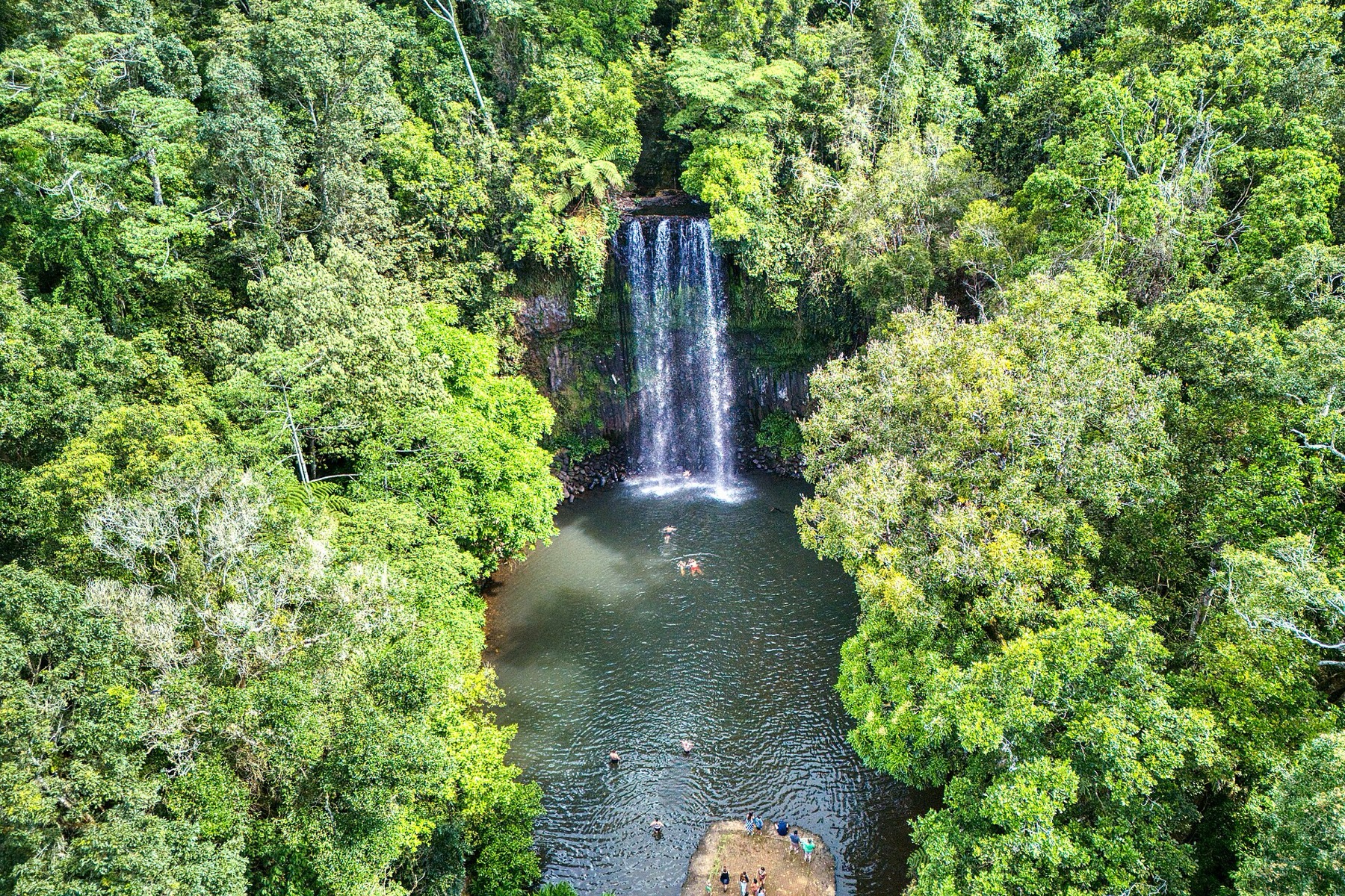 Cairns a Daintree: 18 tipů, co vidět v bráně do tropů 11 Vodopád Millaa Millaa na Atherton Tablelands