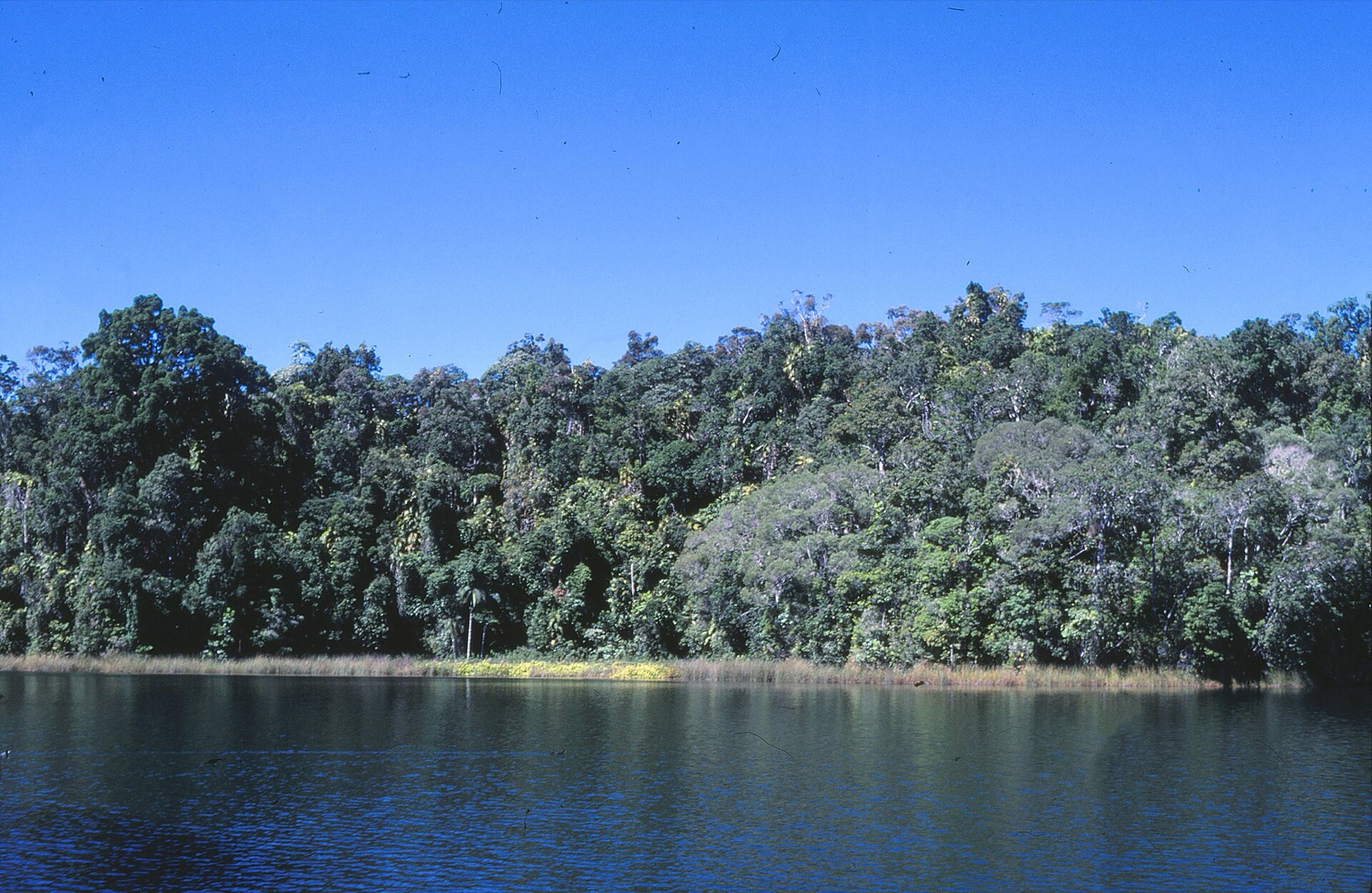 Cairns a Daintree: 18 tipů, co vidět v bráně do tropů 12 Kráterové jezero Eacham