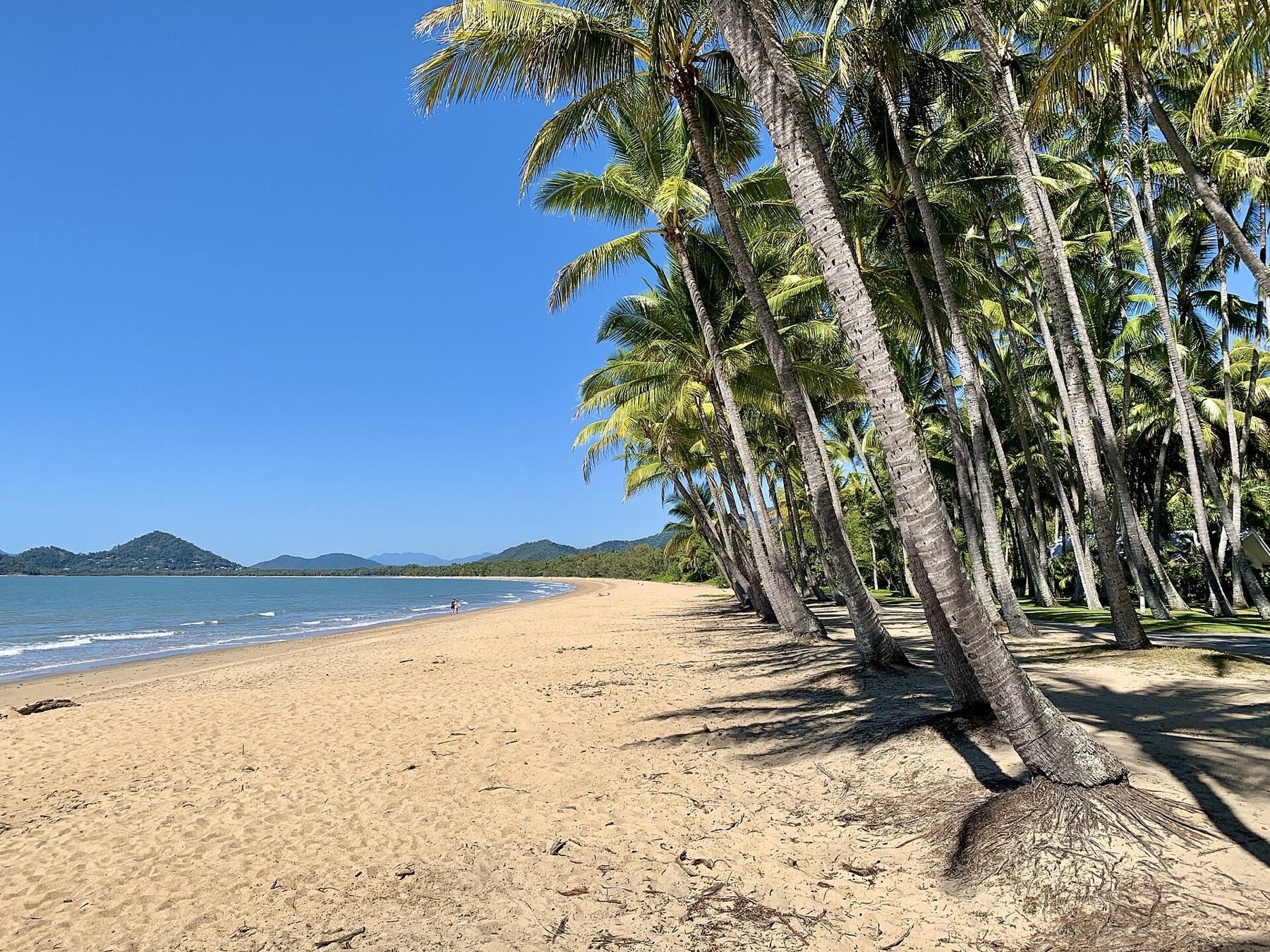 Cairns a Daintree: 18 tipů, co vidět v bráně do tropů 14 Pláž v Palm Cove s palmami