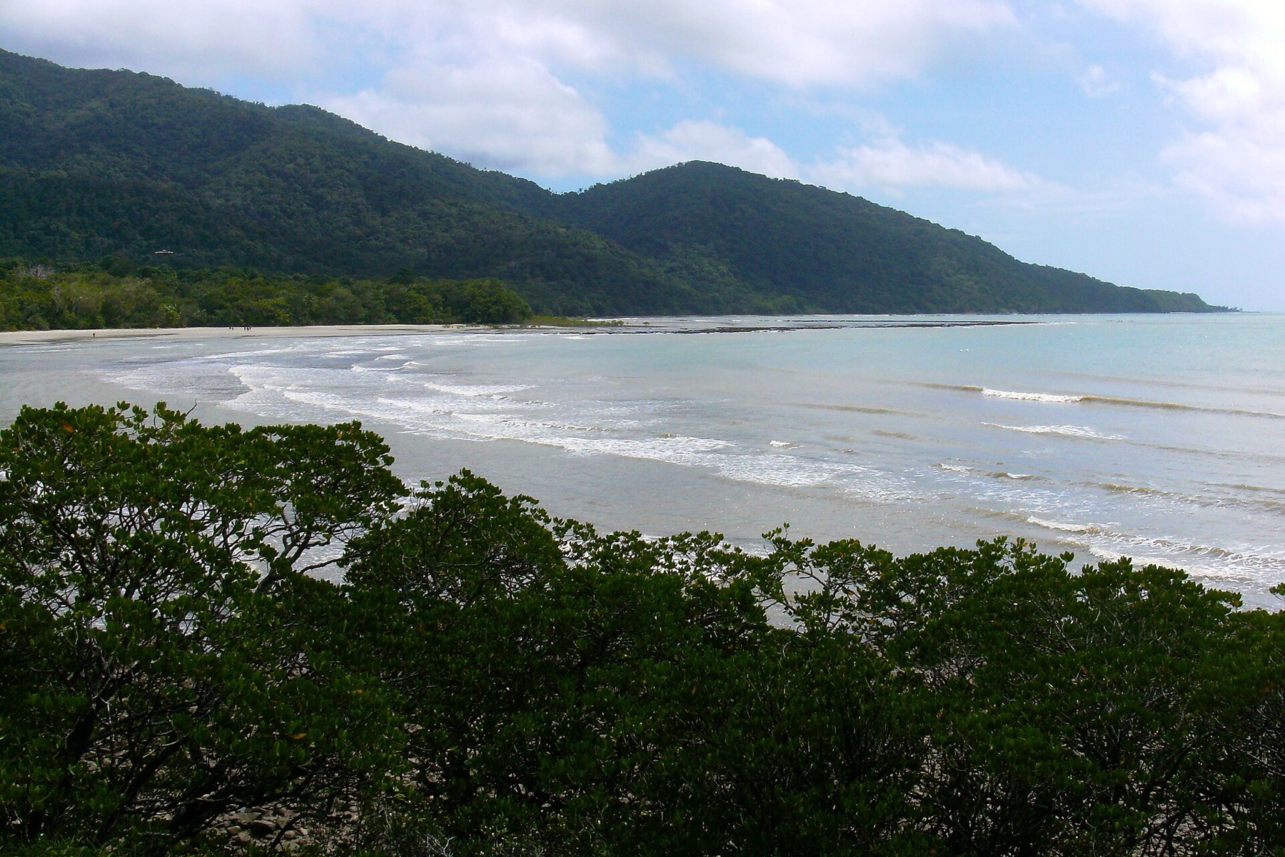 Cairns a Daintree: 18 tipů, co vidět v bráně do tropů 19 Pláž u Cape Tribulation, kde prales potkává moře