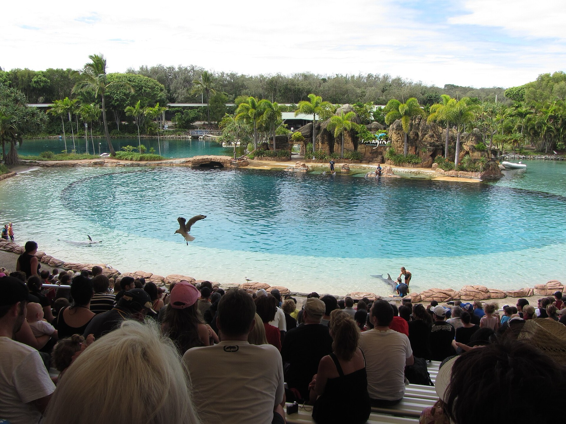 Gold Coast, Austrálie: 16 tipů, co vidět kromě pláží 8 Sea World na Gold Coast