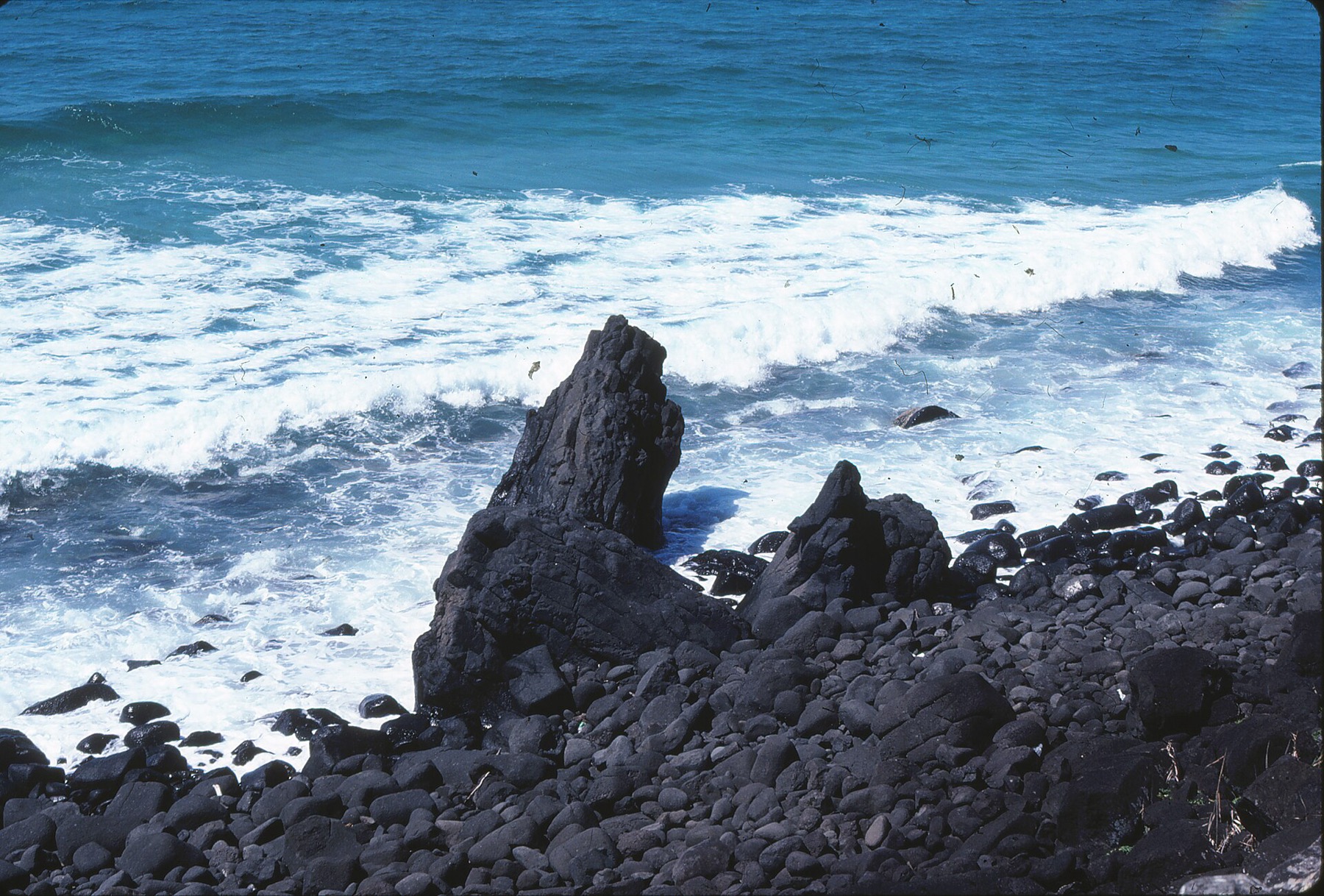 Gold Coast, Austrálie: 16 tipů, co vidět kromě pláží 11 Burleigh Head National Park