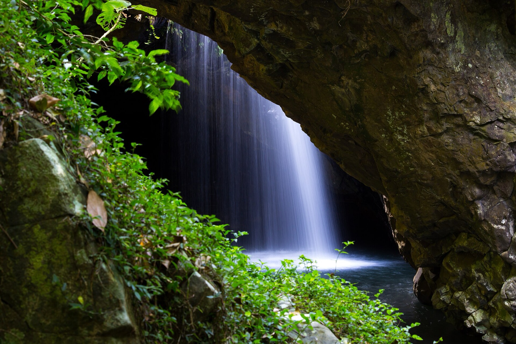 Gold Coast, Austrálie: 16 tipů, co vidět kromě pláží 17 Vodopád ve Springbrook National Park