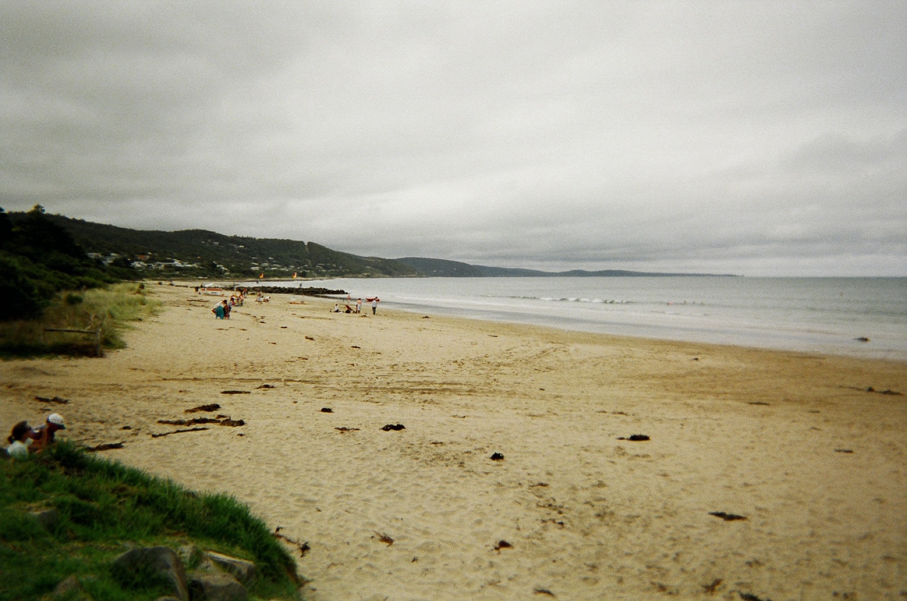 Great Ocean Road, Austrálie: 14 zastávek a itinerář na 2 dny 8 Pláž v Lorne