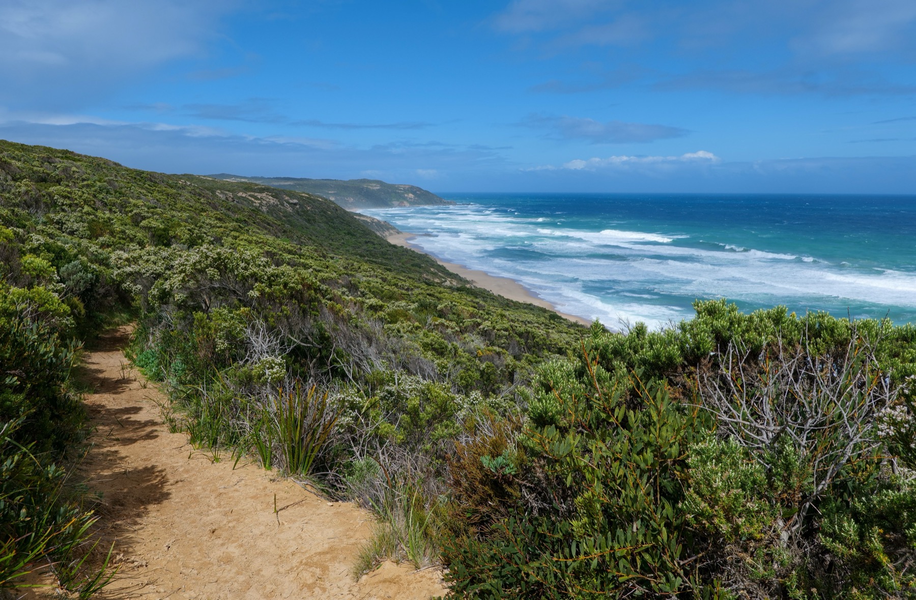 Great Ocean Road, Austrálie: 14 zastávek a itinerář na 2 dny 20 Stezka Great Ocean Walk