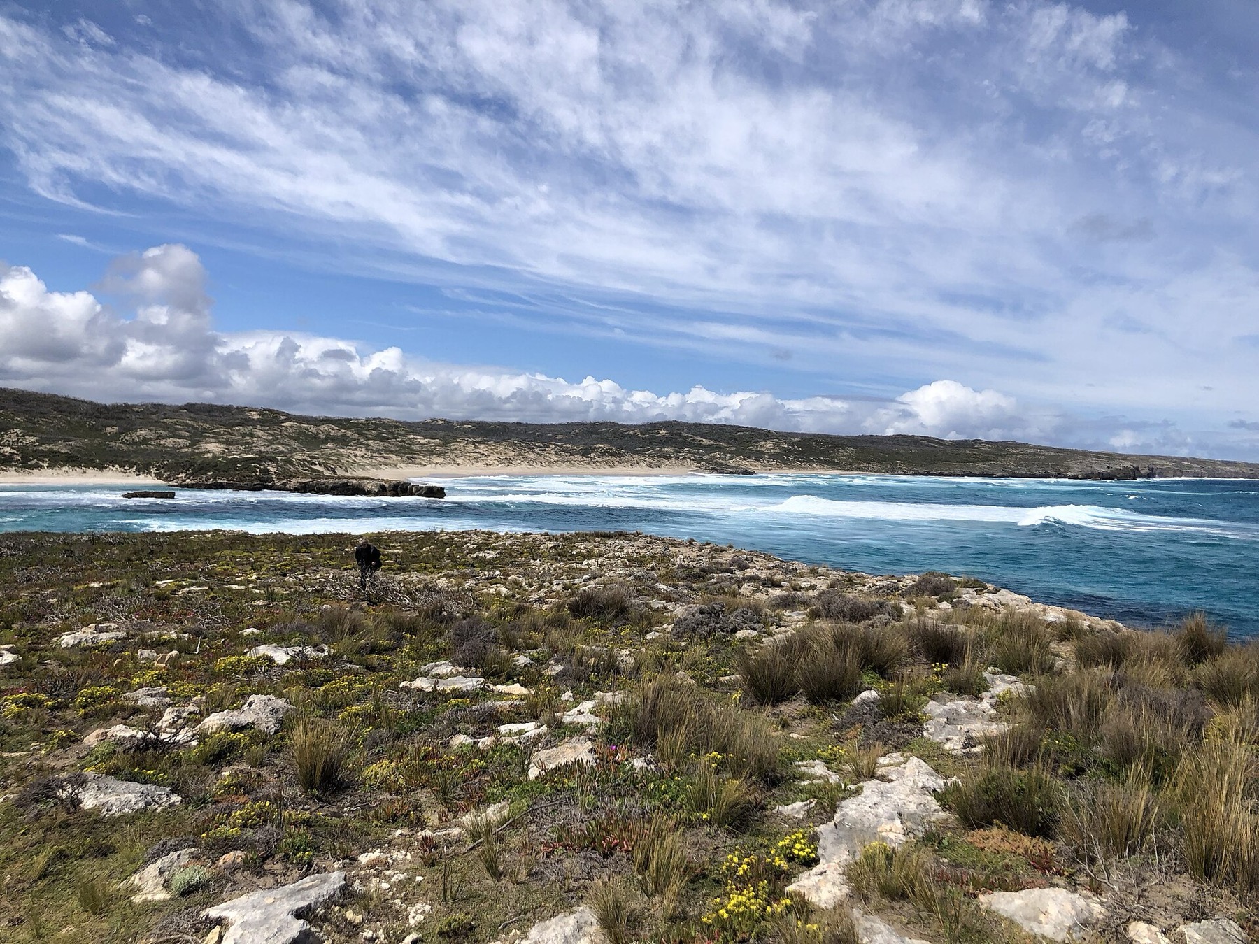 Kangaroo Island: 10 tipů, co vidět na Klokaním ostrově 1 Pobřeží Kangaroo Island