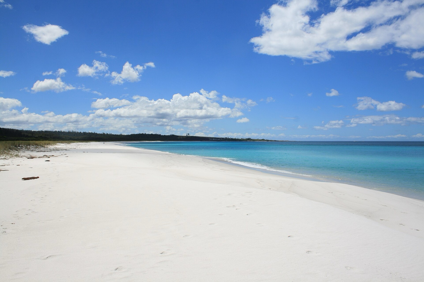 Onde se hospedar na Tasmânia em 2026: bases e hotéis testados 10 Líquens laranja em Bay of Fires