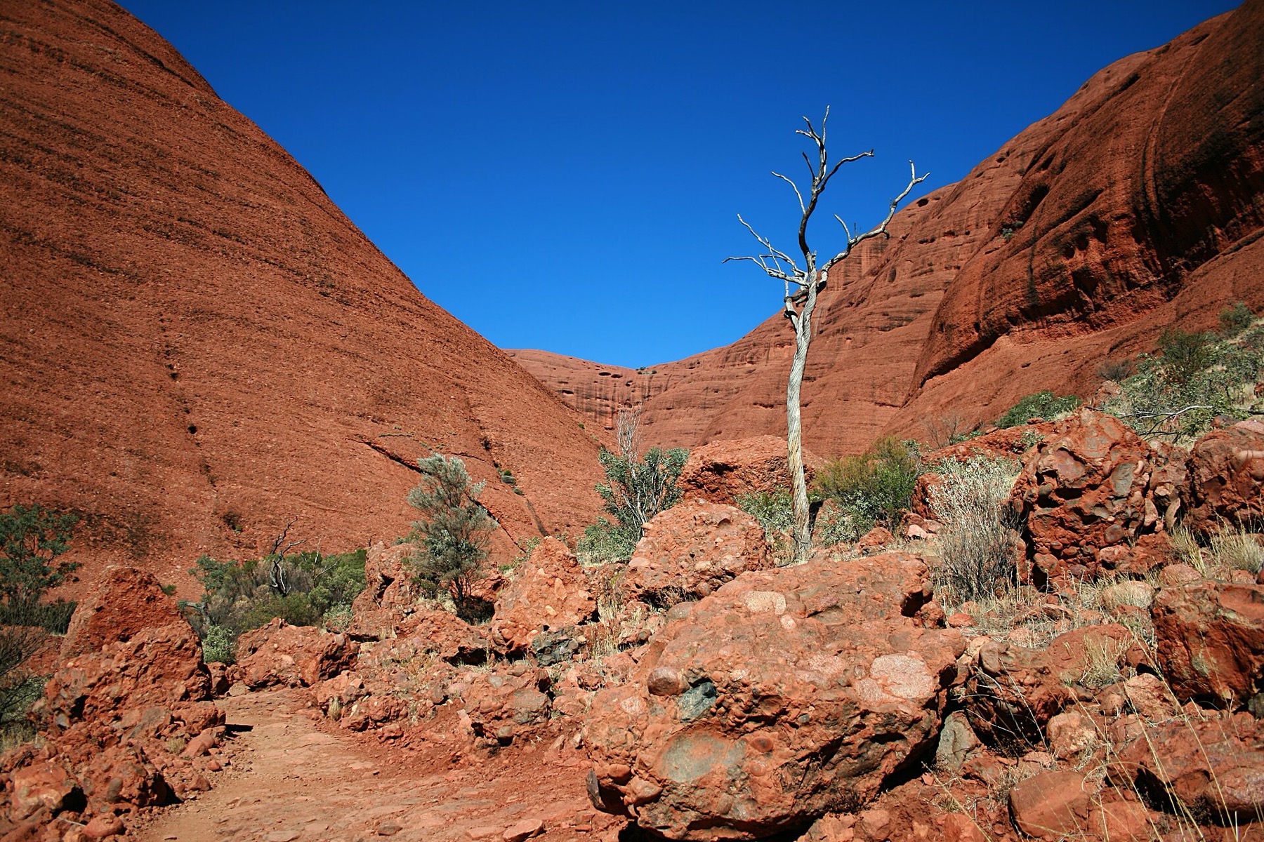 Kata Tjuta a Valley of the Winds