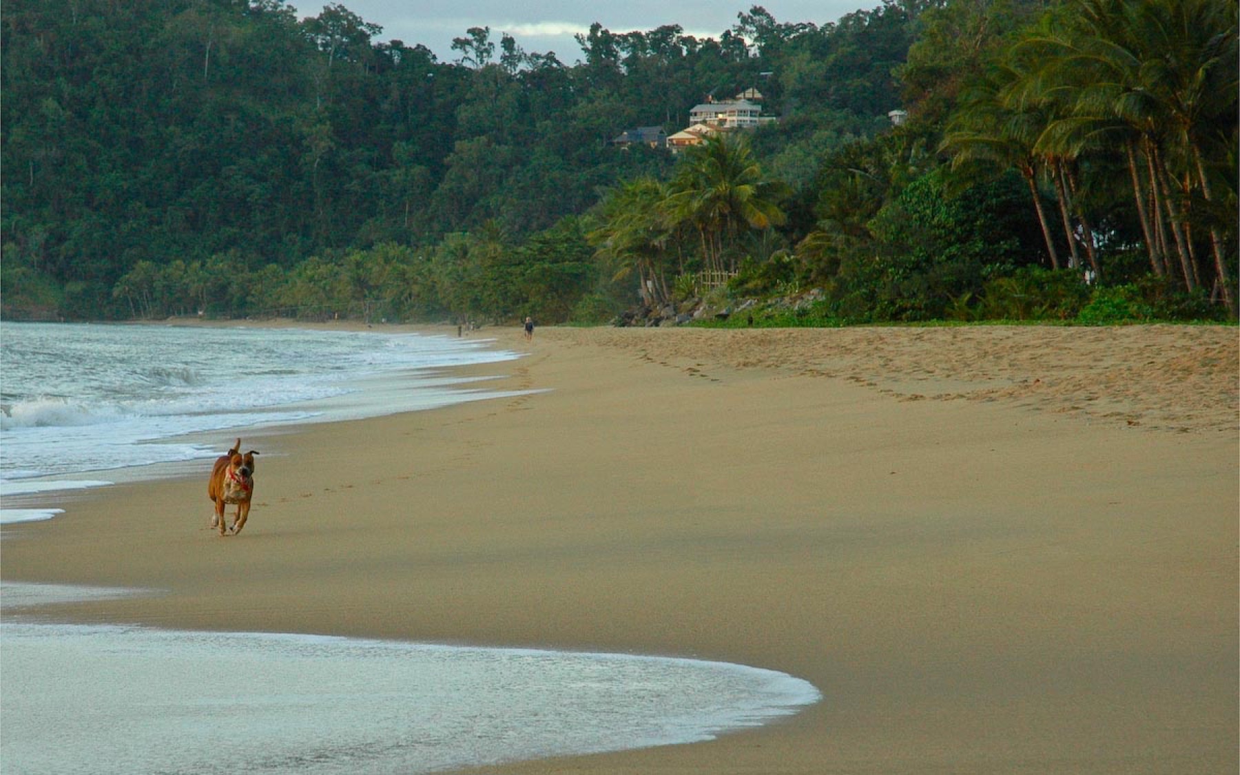 Kde bydlet v Cairns a Port Douglas: 10 tipů na ověřené hotely 5 Trinity Beach na severních plážích