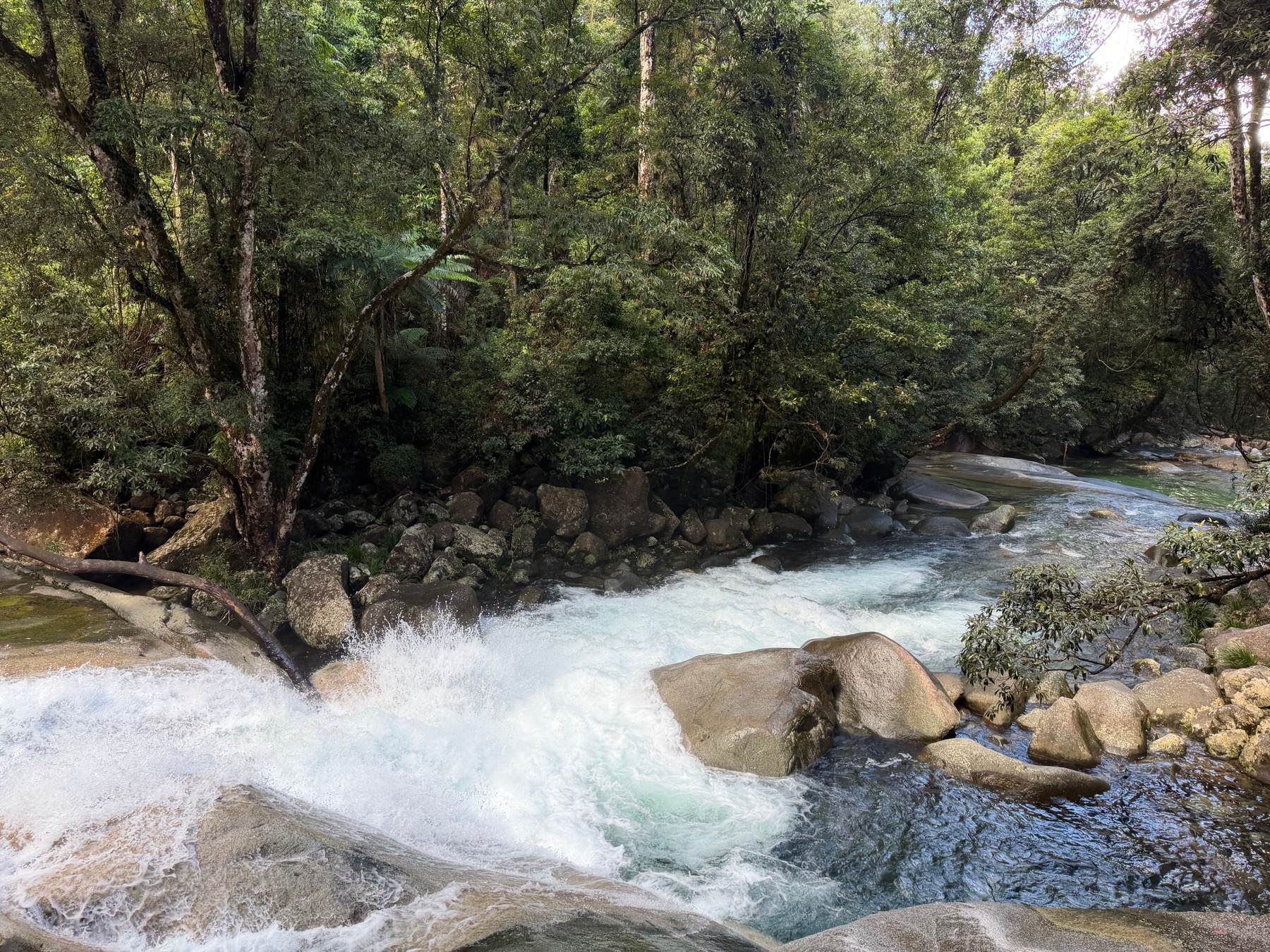 Kde bydlet v Cairns a Port Douglas: 10 tipů na ověřené hotely 9 Chodník pralesem v Daintree