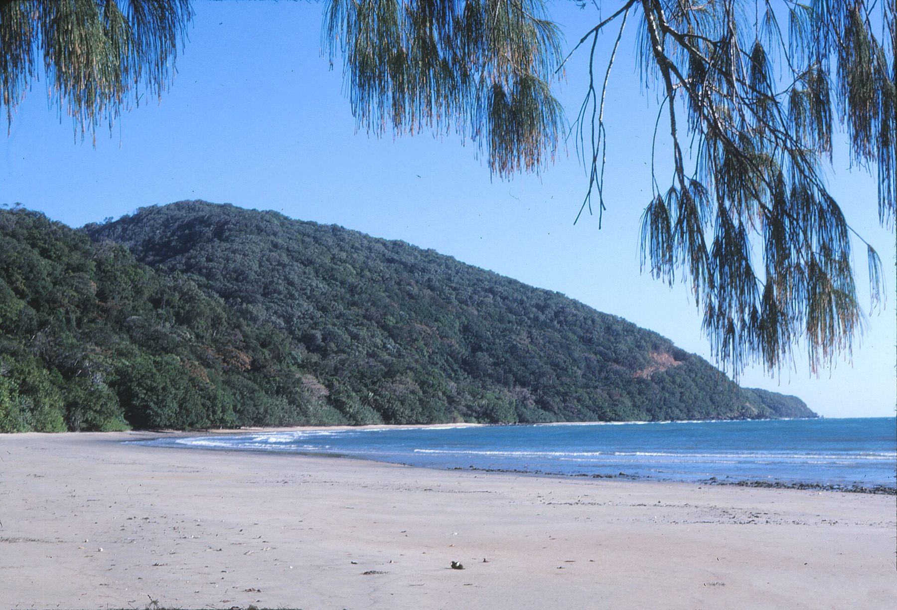 Kde bydlet v Cairns a Port Douglas: 10 tipů na ověřené hotely 10 Cape Tribulation v národním parku Daintree