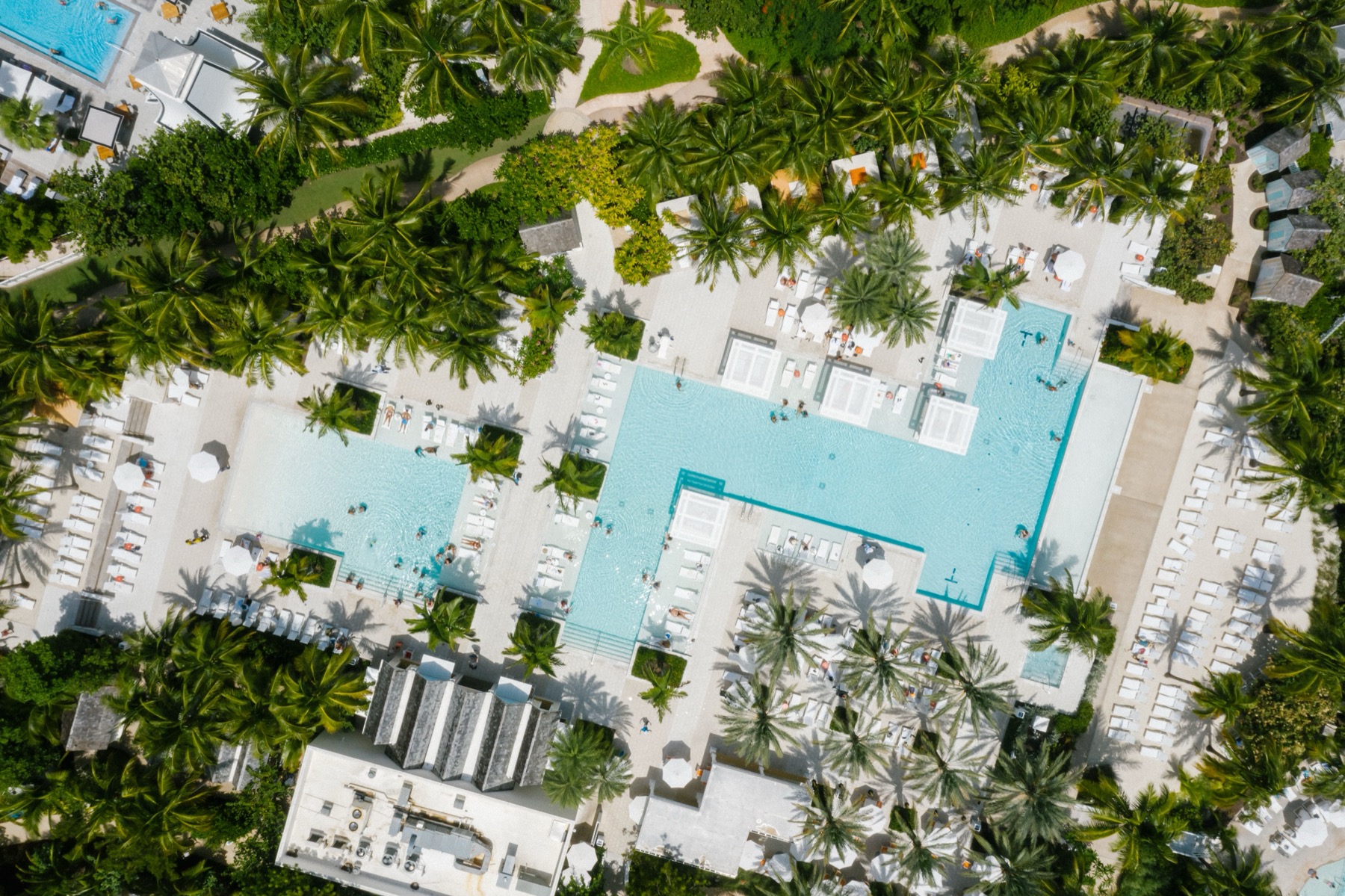 Kde bydlet v Cairns a Port Douglas: 10 tipů na ověřené hotely 14 Bazén v tropickém resortu, ilustrační
