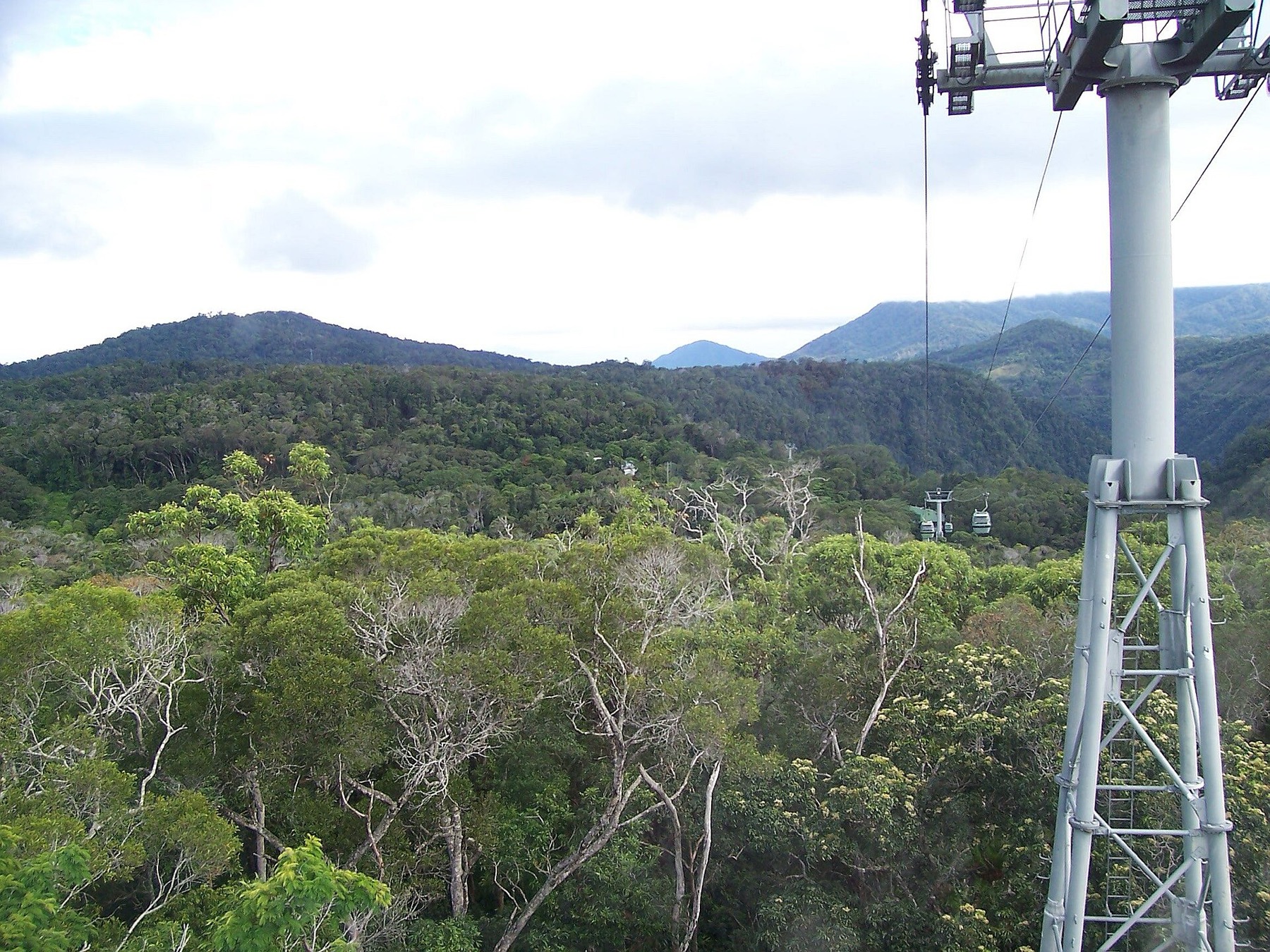 Kde bydlet v Cairns a Port Douglas: 10 tipů na ověřené hotely 15 Lanovka Skyrail nad pralesem u Kurandy