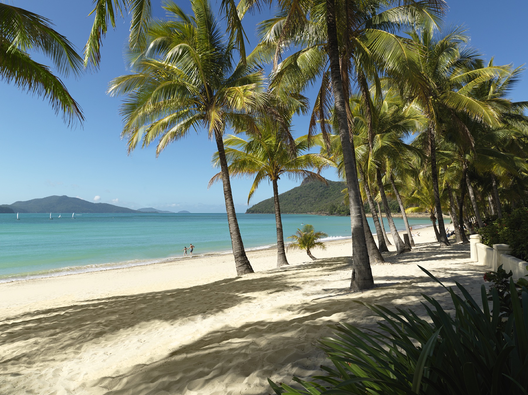 Where to Stay on the Great Barrier Reef in 2026: 12 Islands 4 Catseye Beach on Hamilton Island