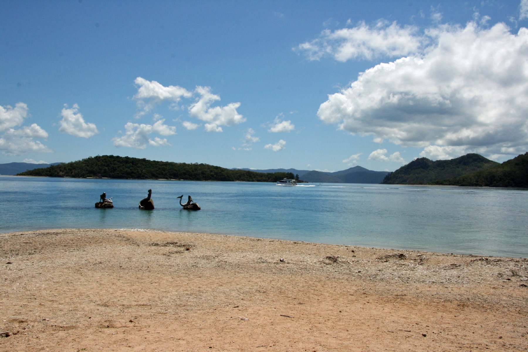 Where to Stay on the Great Barrier Reef in 2026: 12 Islands 6 Daydream Island with lagoon
