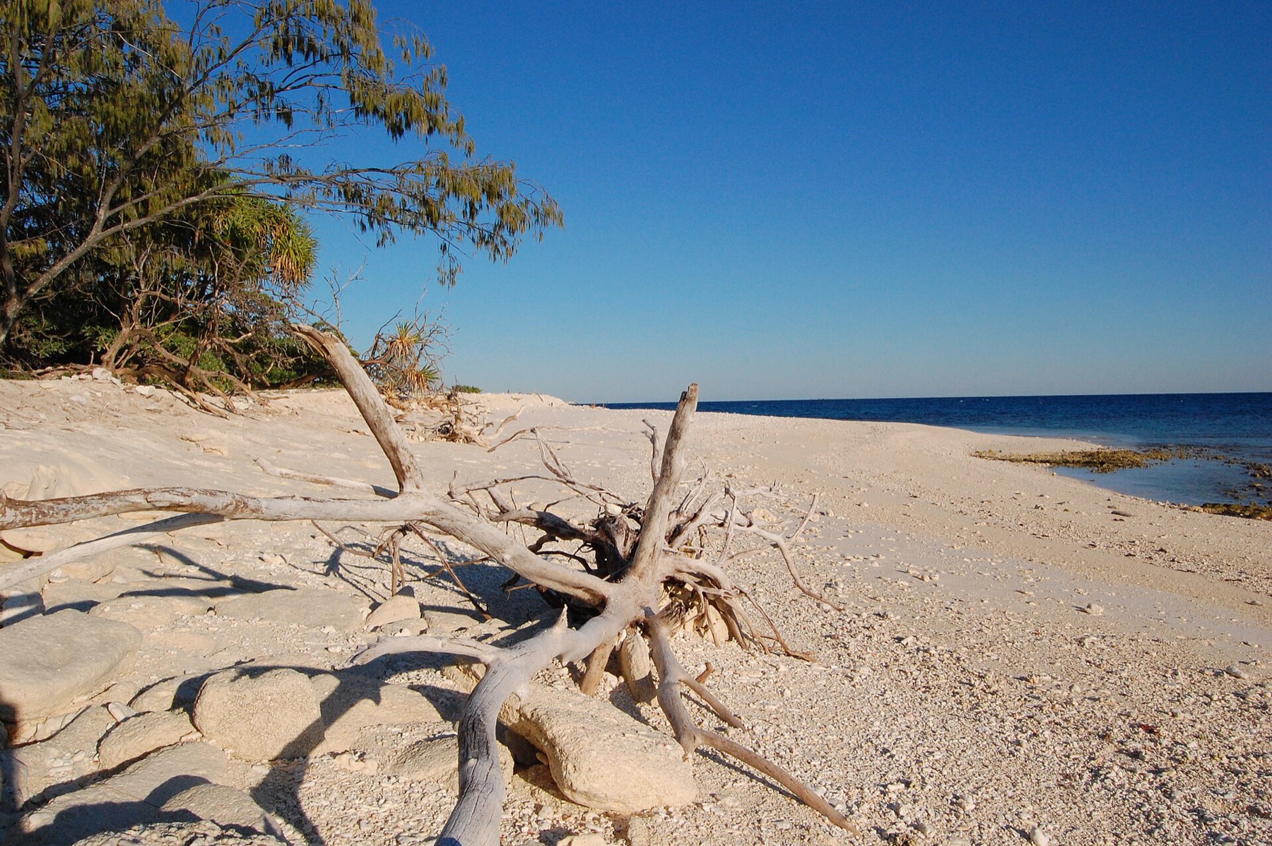Where to Stay on the Great Barrier Reef in 2026: 12 Islands 13 Wilson Island in the Capricornia Cays