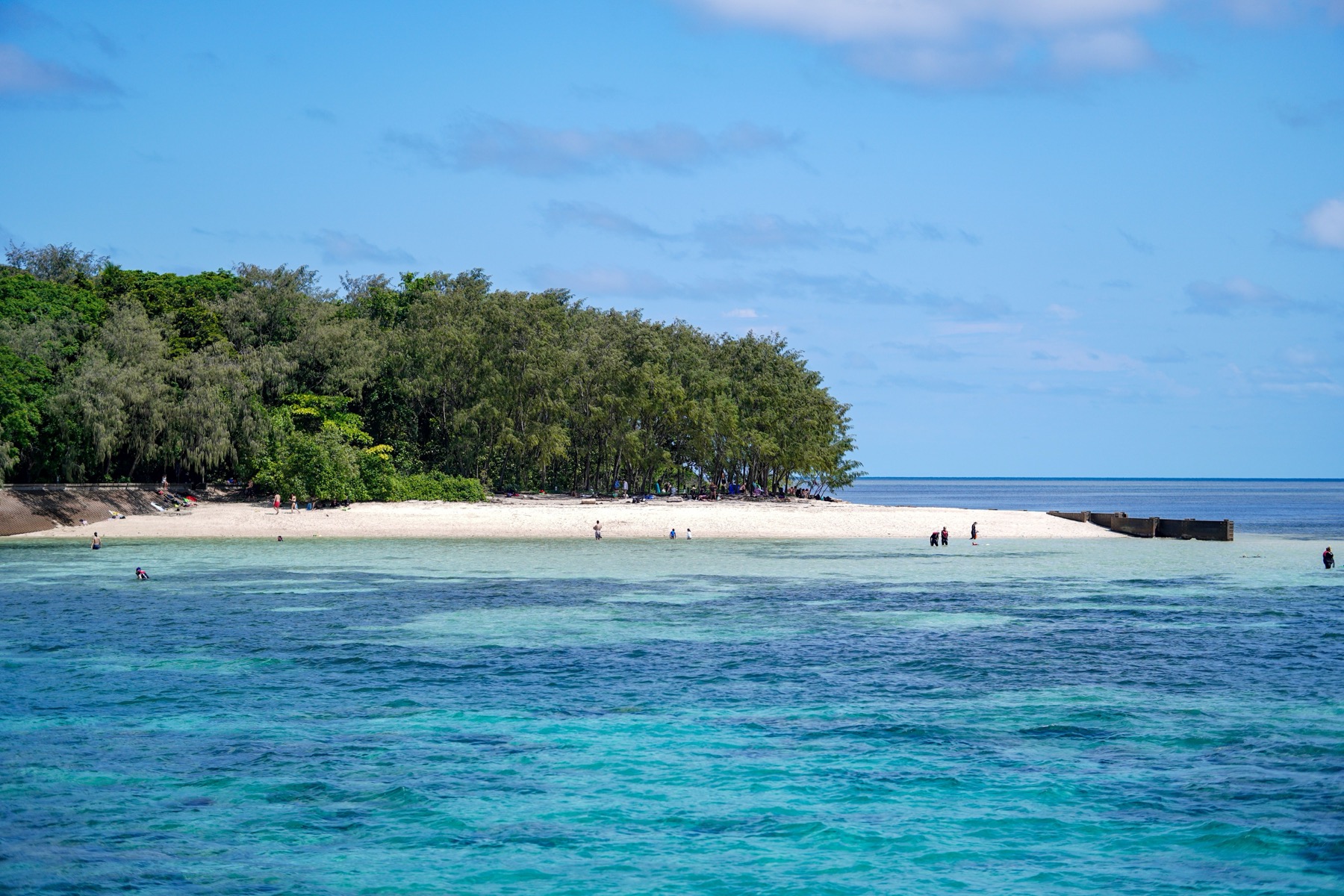 Where to Stay on the Great Barrier Reef in 2026: 12 Islands 14 Green Island with coastal vegetation